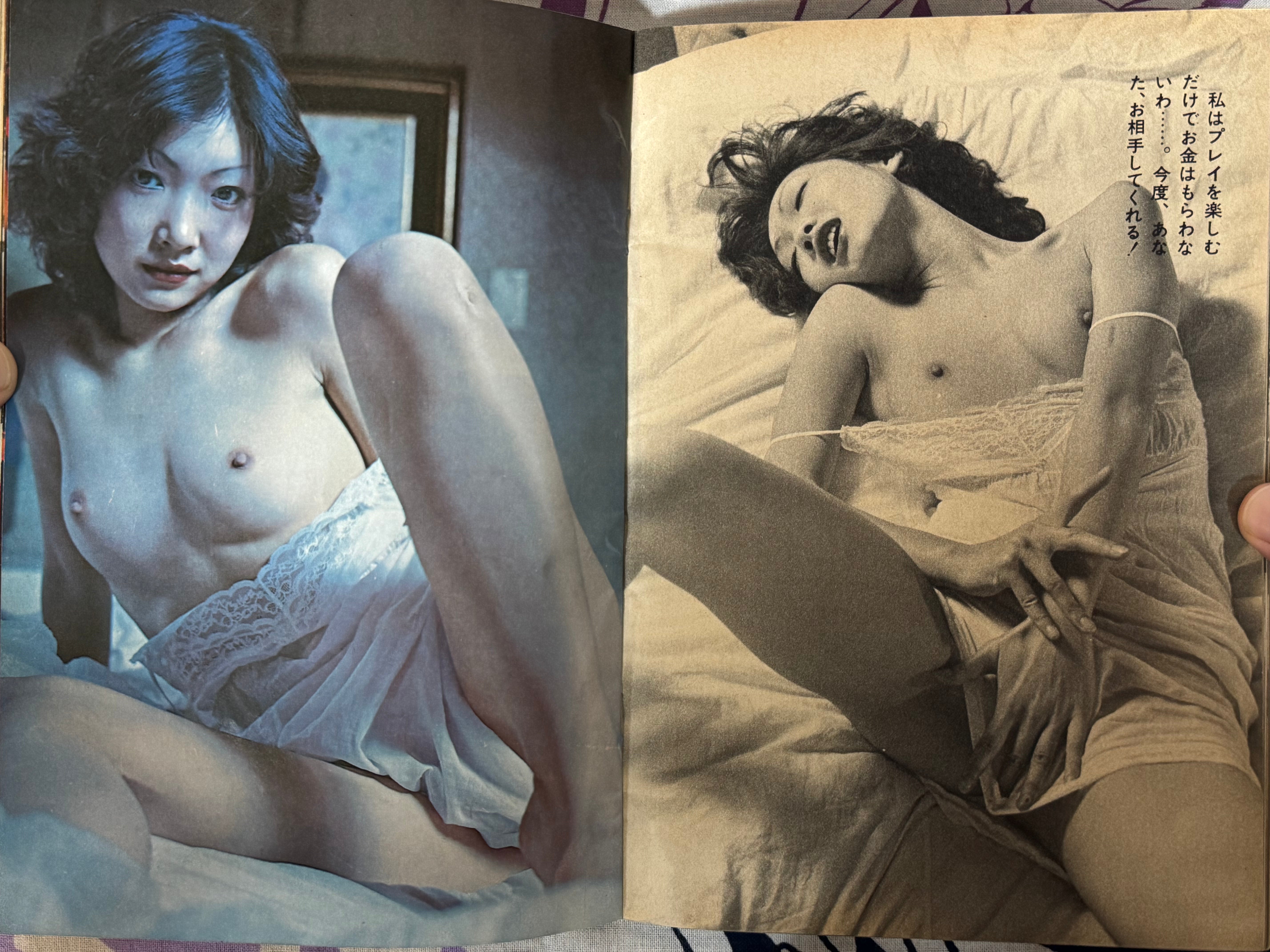 Pink Plaza Magazine (4/1976)