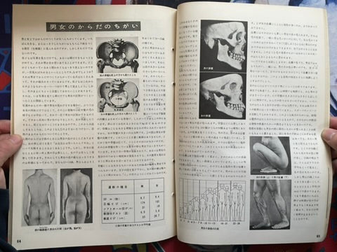 The Science Graph Vol. 7: Human Body Edition (1962)