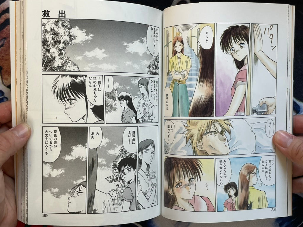 Rape + 2πr: Hurricane by Tennoji Kitsune (1994)