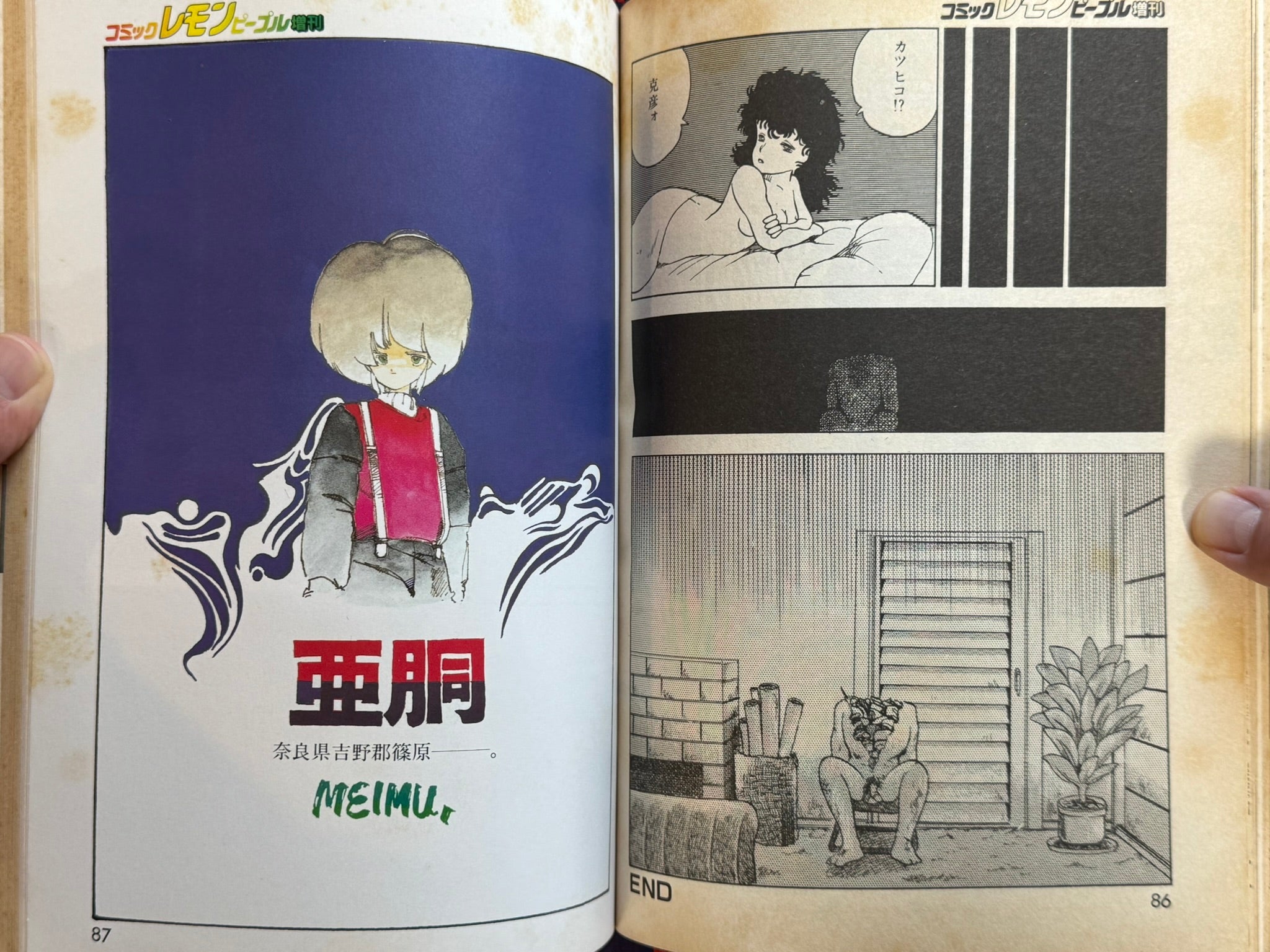 Shojo Occult House by Lemon People Magazine (1984/10)-thumbmail-14
