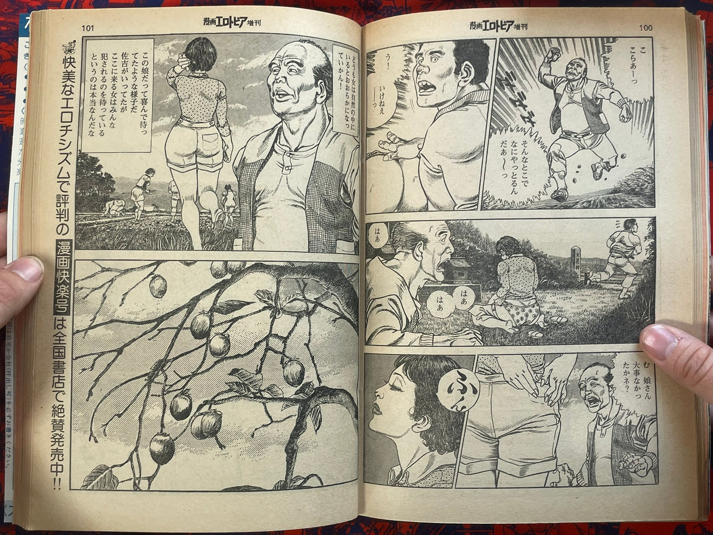 Love and Dreams: Manga Erotopia Extra Edition (8/1977)