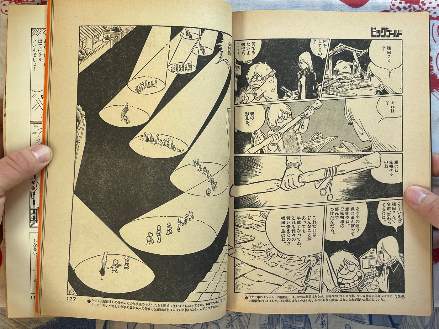 Big Gold No. 2 (Spring 1979)