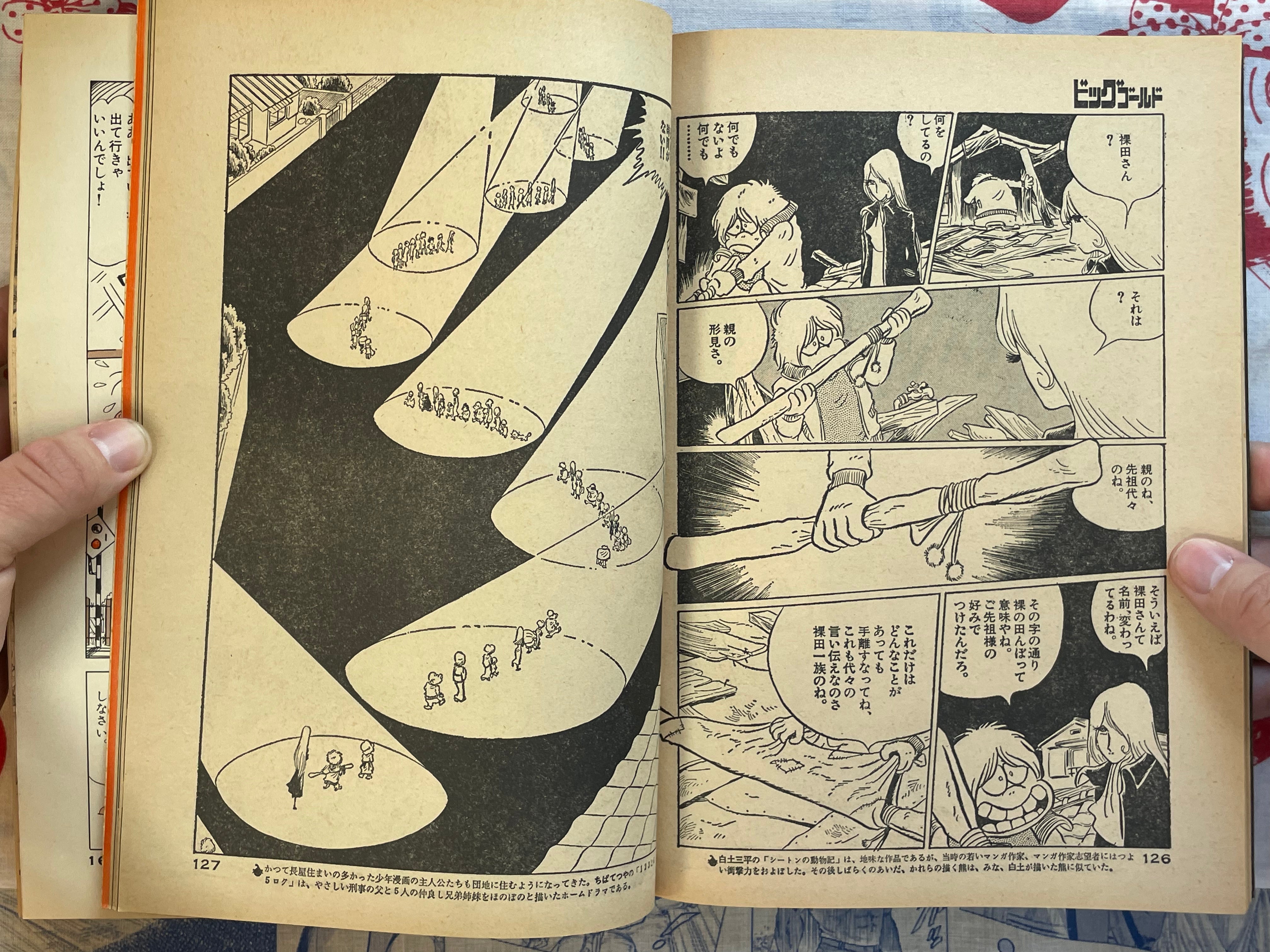 Big Gold No. 2 (Spring 1979)