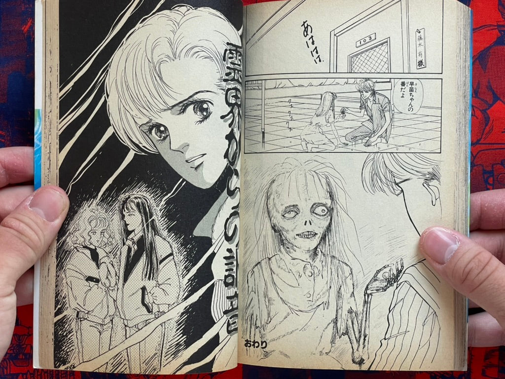 Evil Spirit World by Maiko Asano (1992)