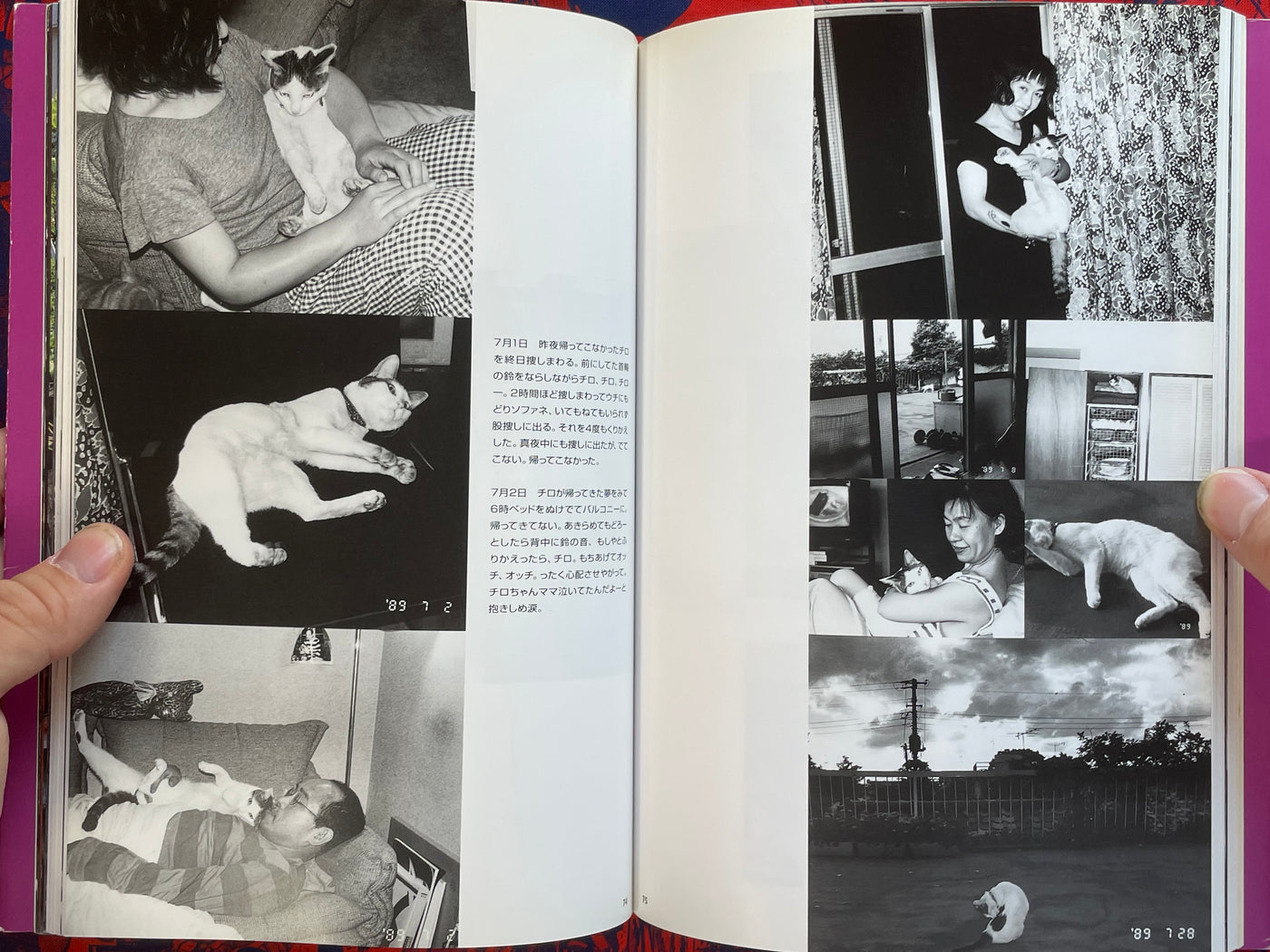 Chiro, Araki and 2 Lovers by Araki Nobuyoshi (1996) · Japan Book Chiro, Araki and 2 Lovers by Araki Nobuyoshi (1996) · Japan Book