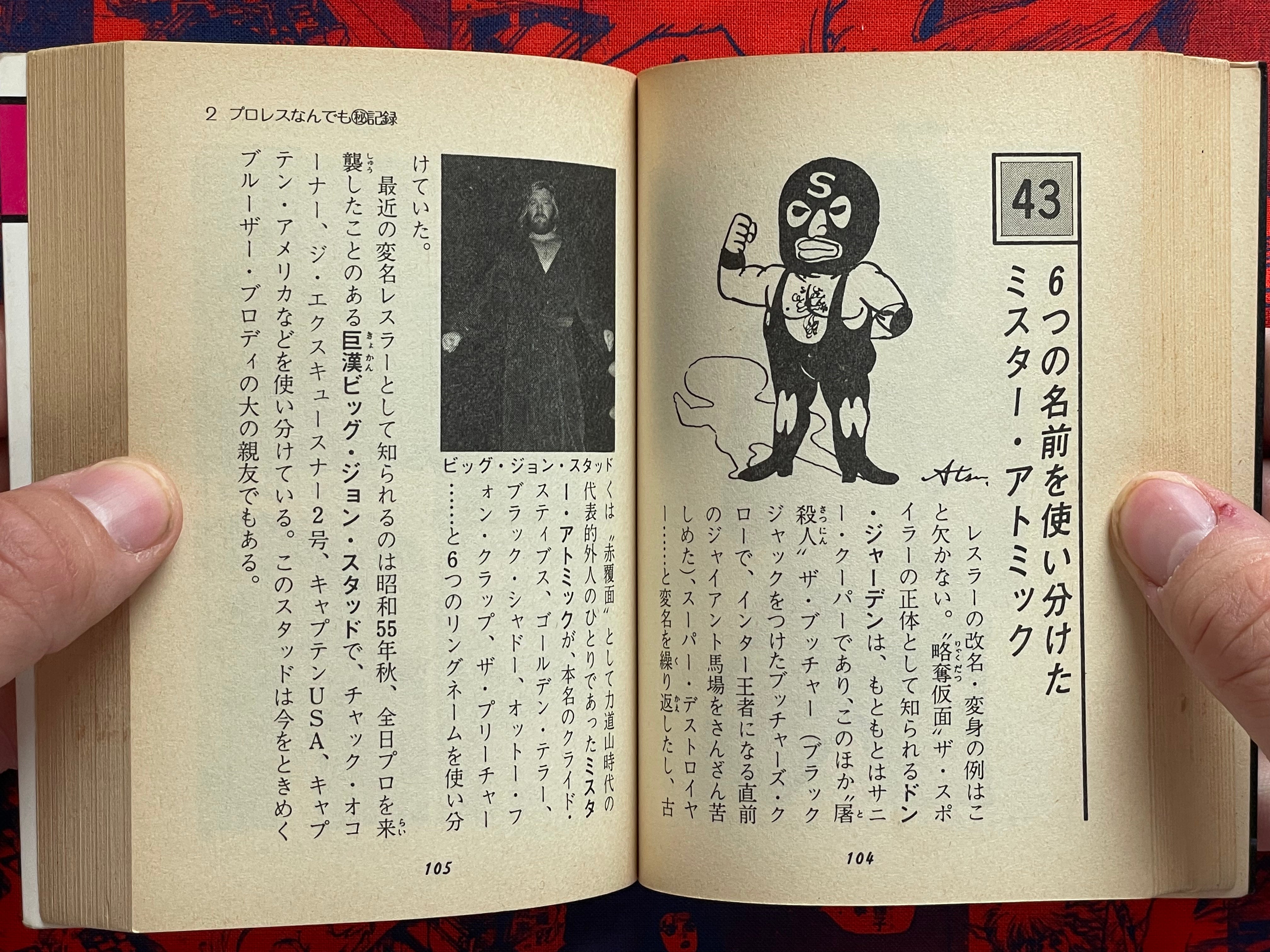 Pro Wrestling Everything Professor - bunko sized by Morioka Riu (1982)
