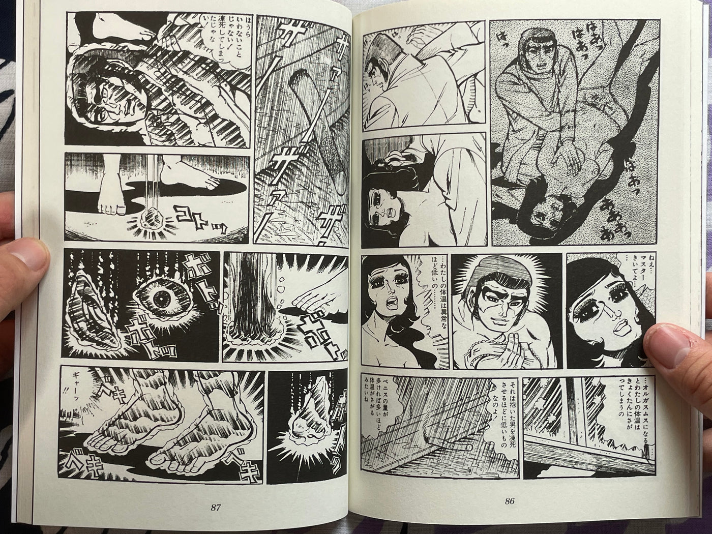 Married to a Gorilla by Shiro Iijima (2021)