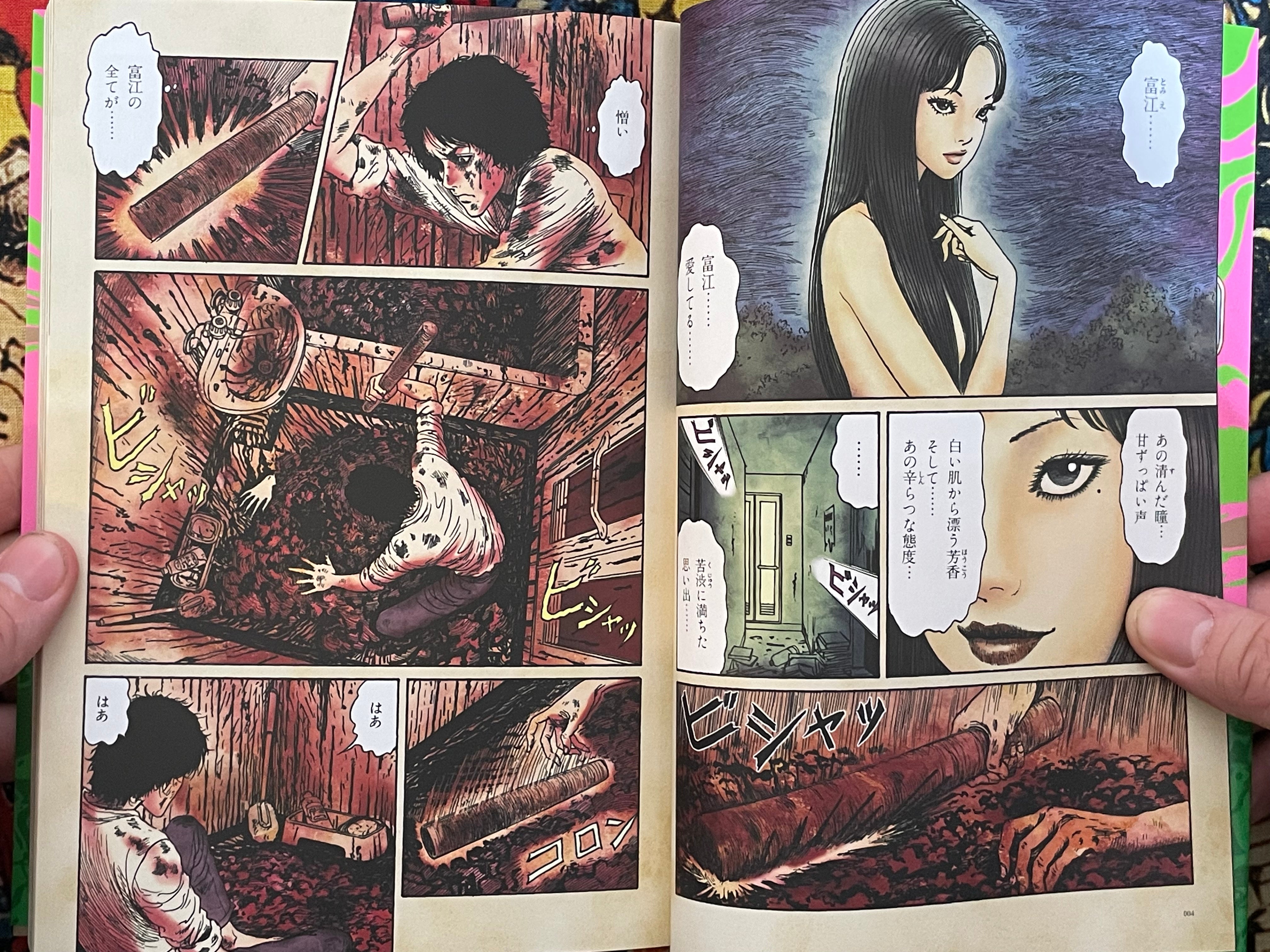 Dark Colors Junji Ito The Author's Selections (2025)