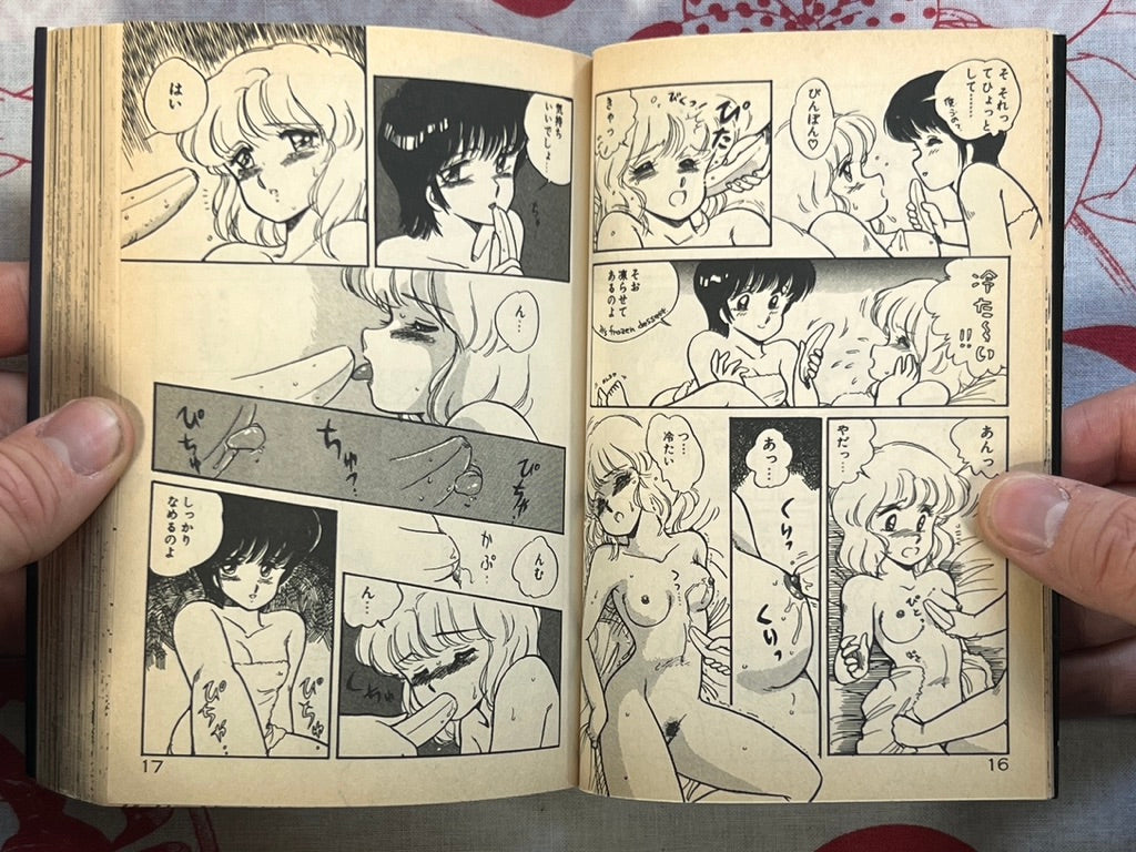 Minato-chan is 17! - bunko size by Amagi Kei (1991)