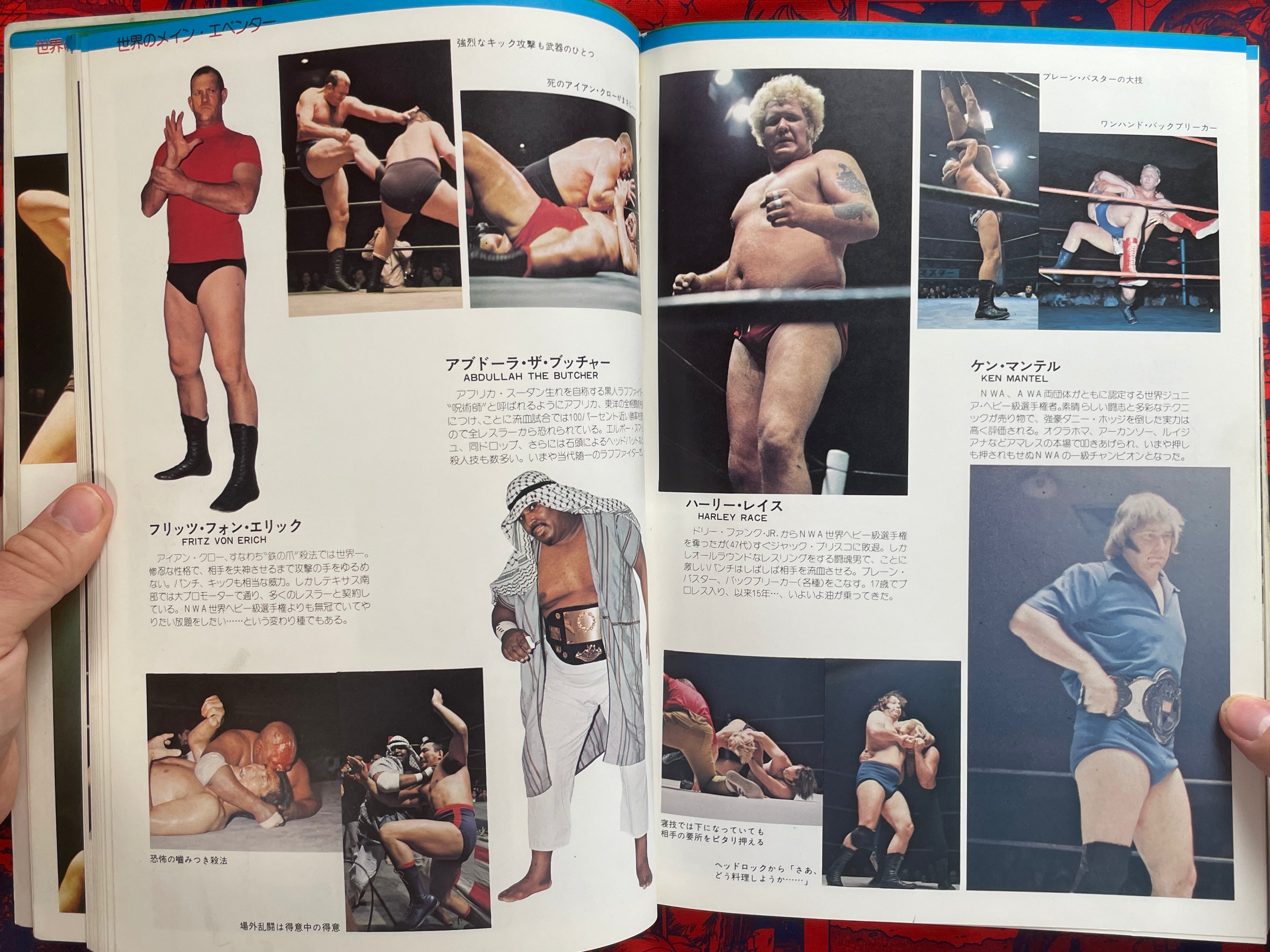 Pictorial History of Pro-Wrestling in Japan (1975)
