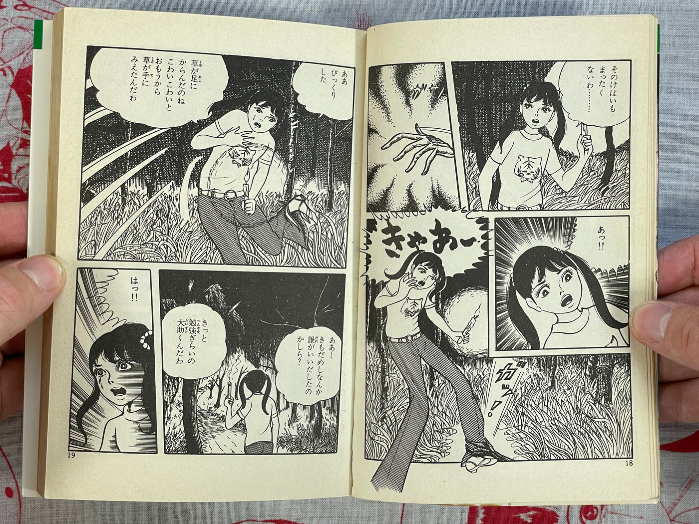 Bones Calling the Dead Girl by Miyuki Saga (1982)