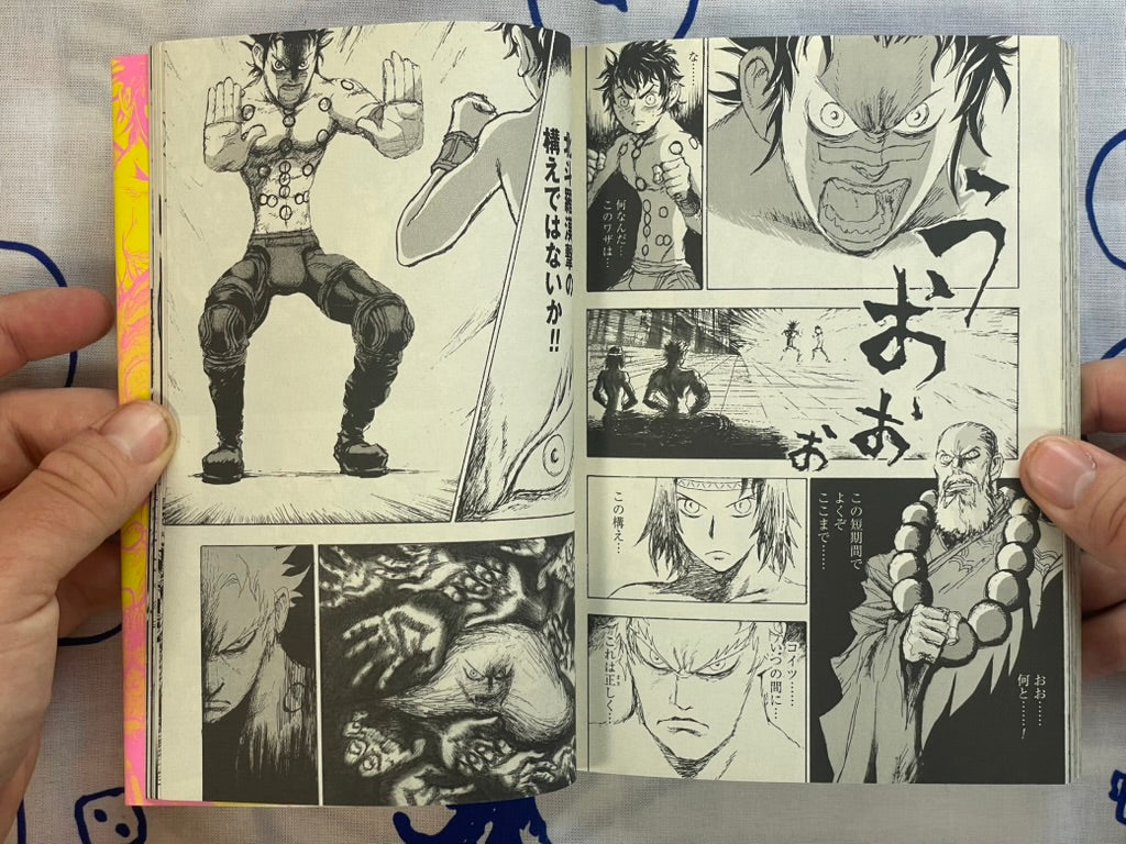 Evil Flowers: Fist of the North Star Jagi Side Story 1-2 Full Set by Shinichi Hiromoto (2009)-thumbmail-16