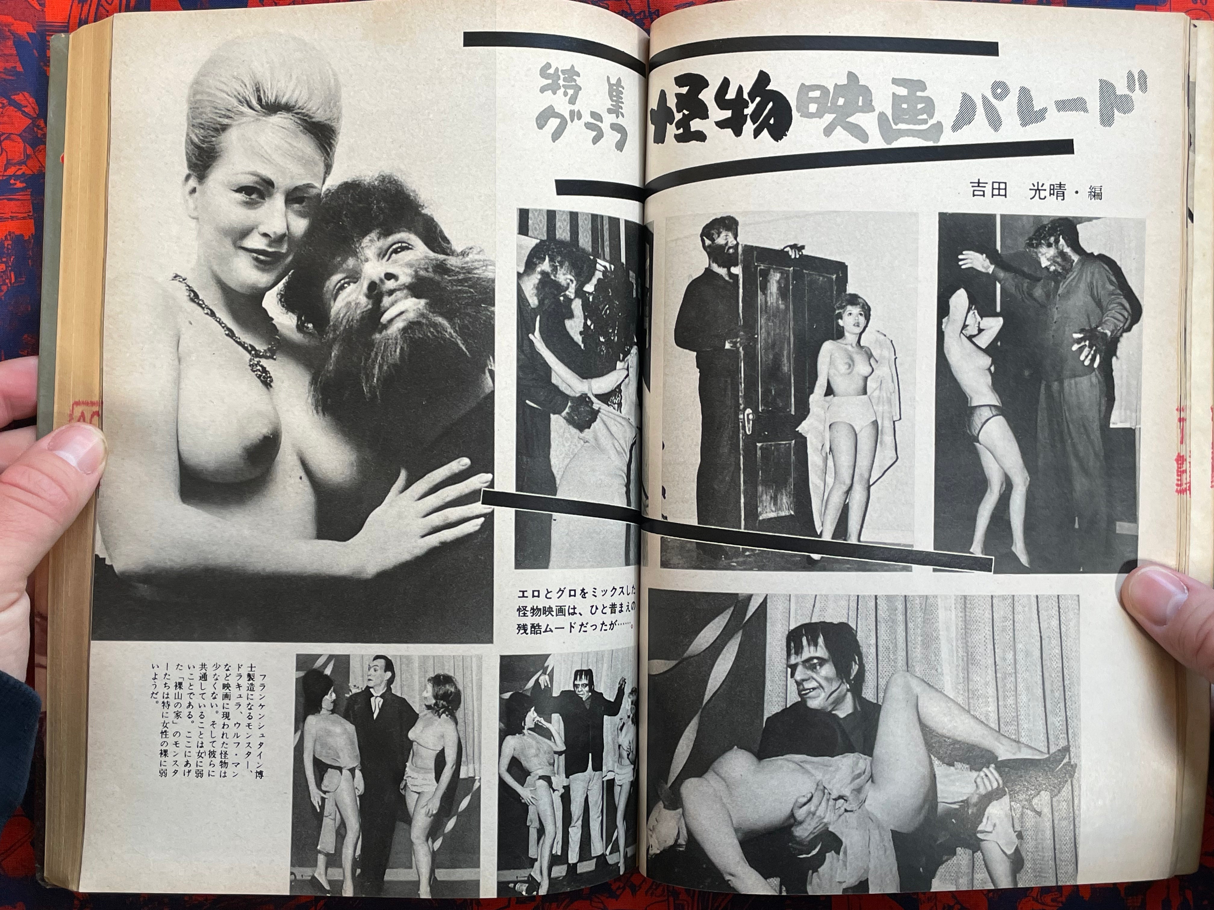 Extra Edition Kinema Junpo Vol. 5 (1964)