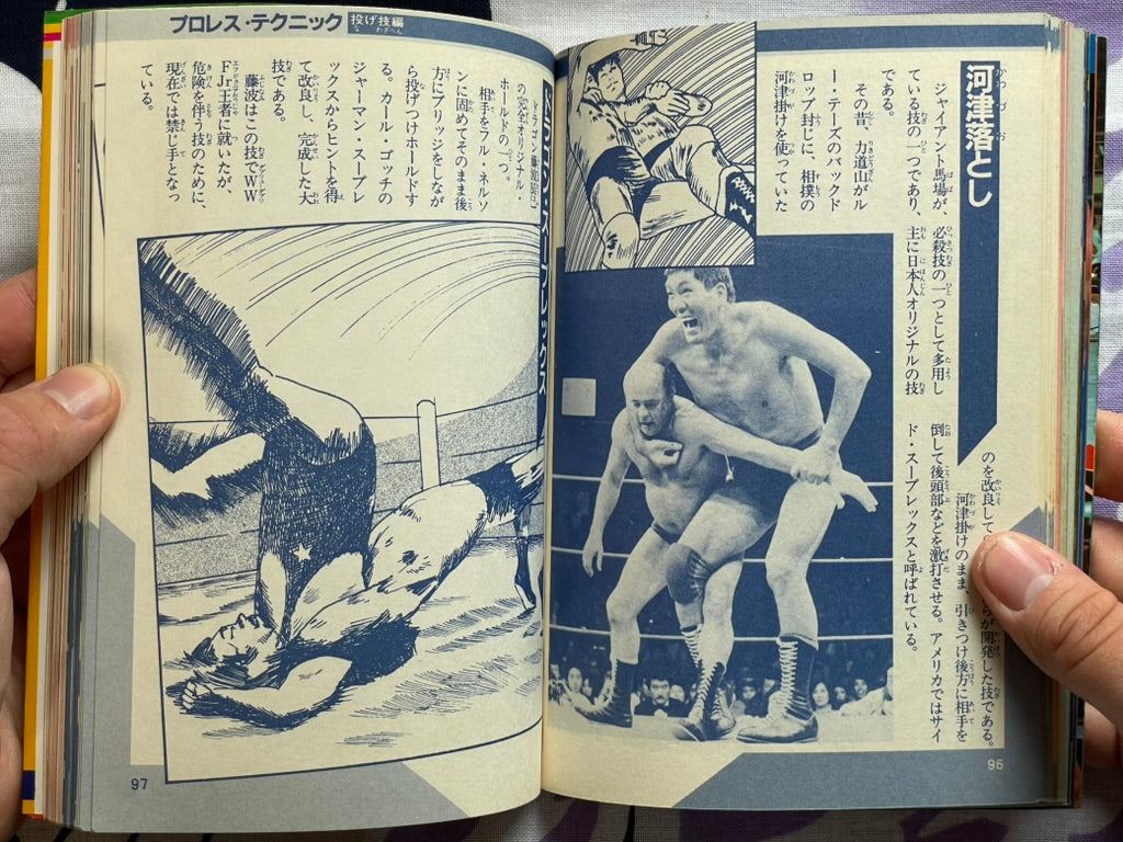 Pro Wrestling Finishing Move Technique by Big Wrestler (1984)