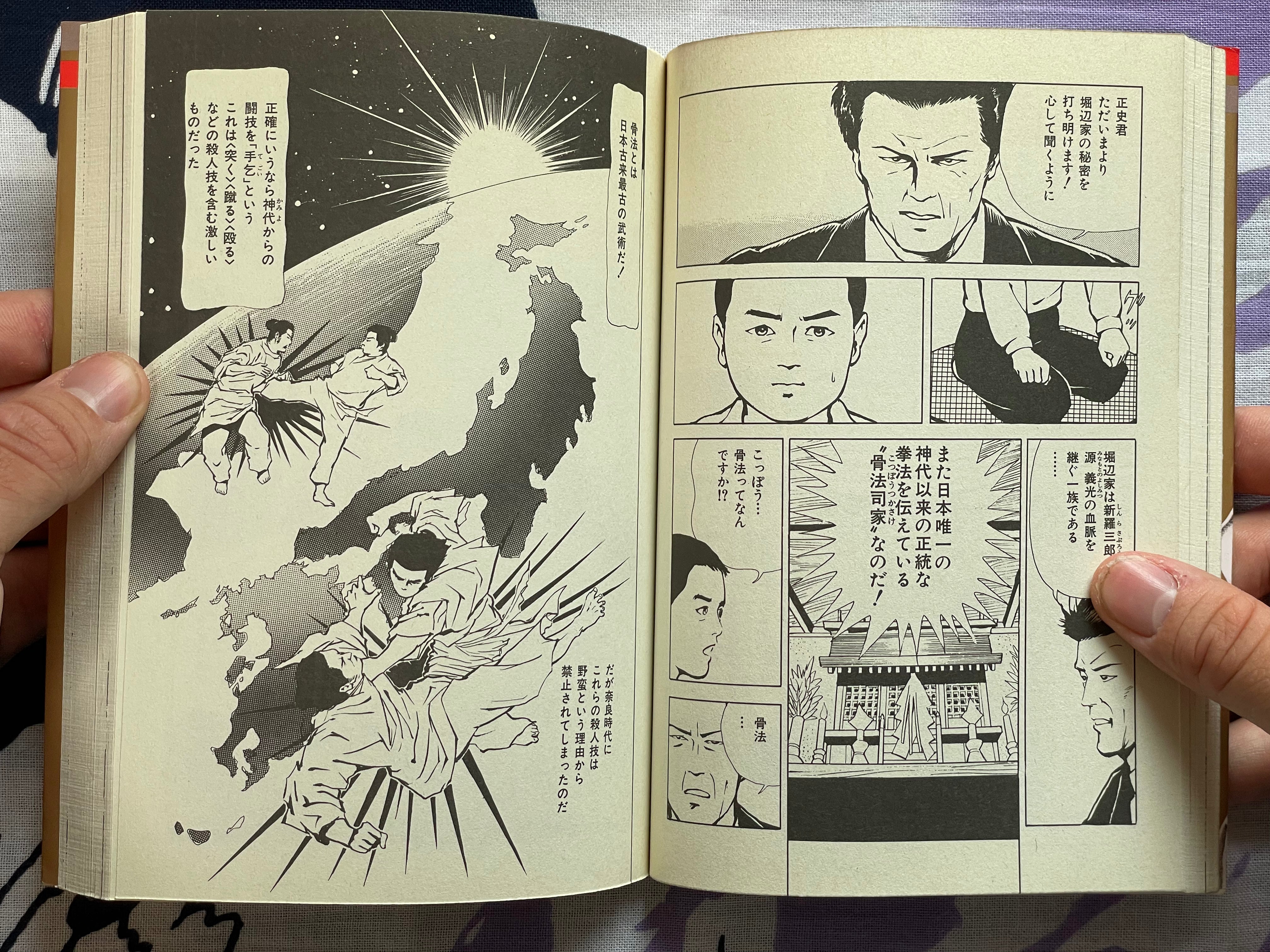Killer Fist Technique for Koppou Marital Arts Illustrated by Kaze Shinobu (1988)