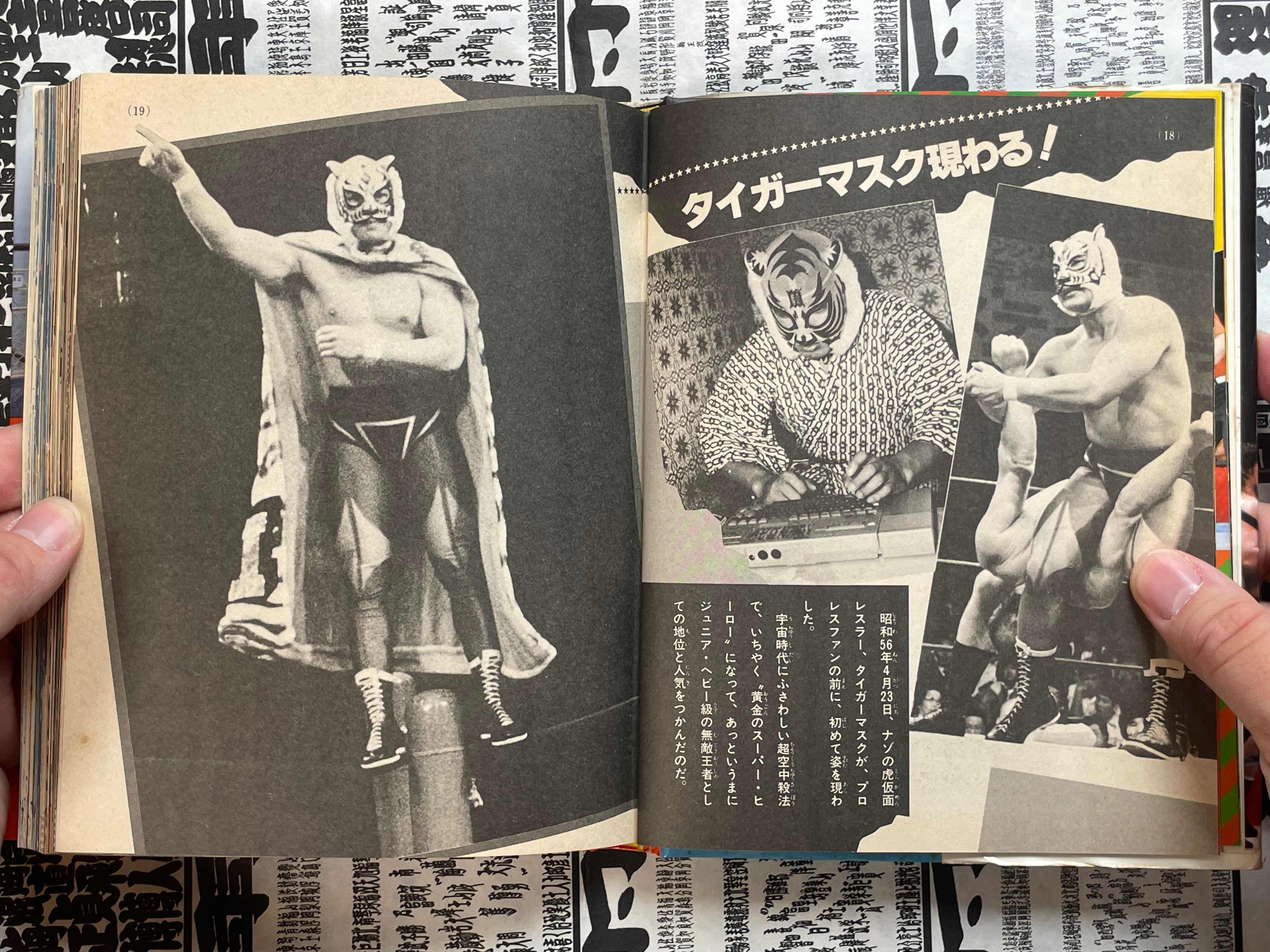 Let's Fight Pro Wrestling Picture Book by Shogakukan (1987)-thumbmail-7