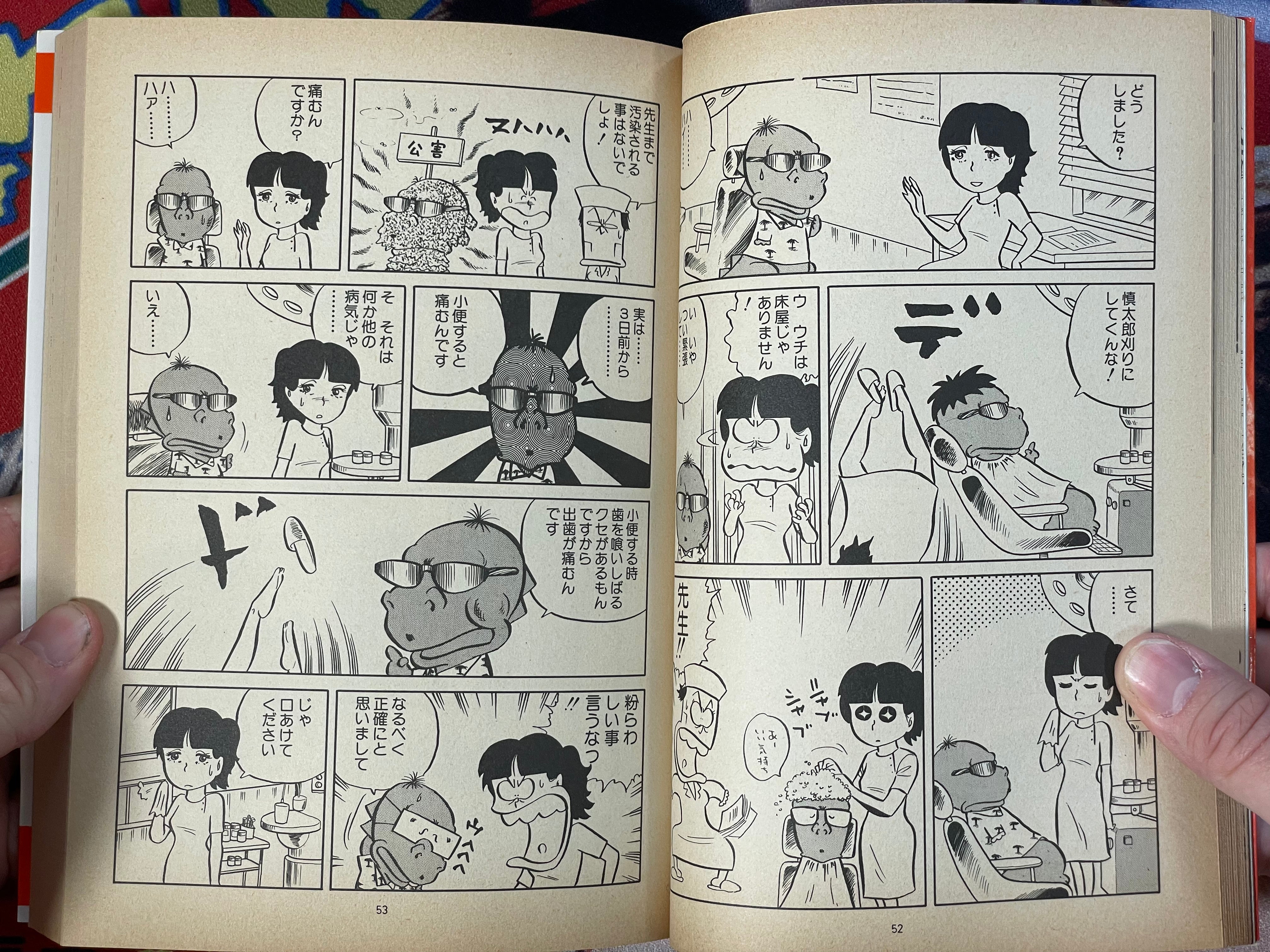 Powerful Expedition by Ishikawa Jun (1982)