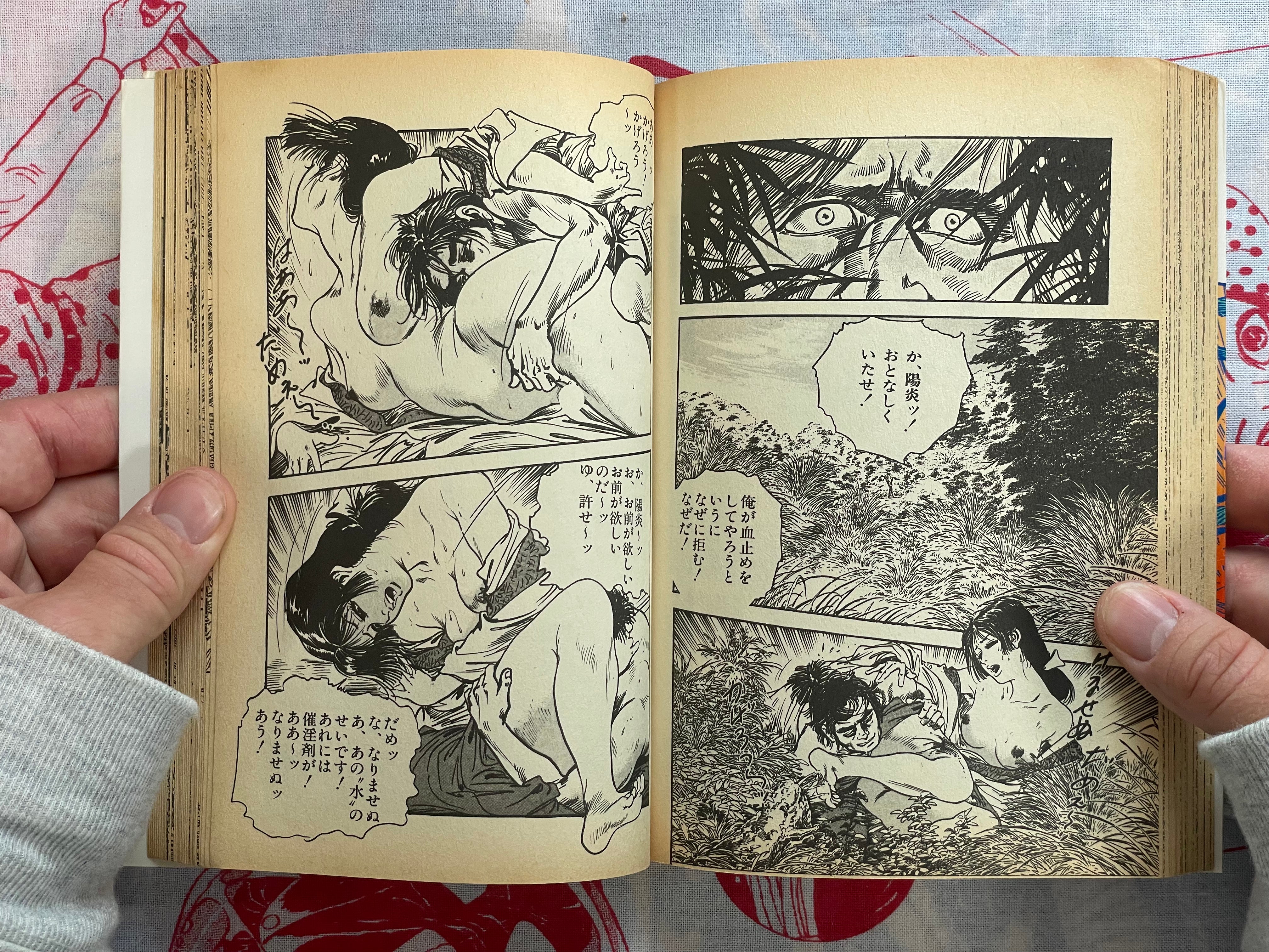 Like the Wind Full 1-2 by Ken Tsukikage & Makio Hara (1985)