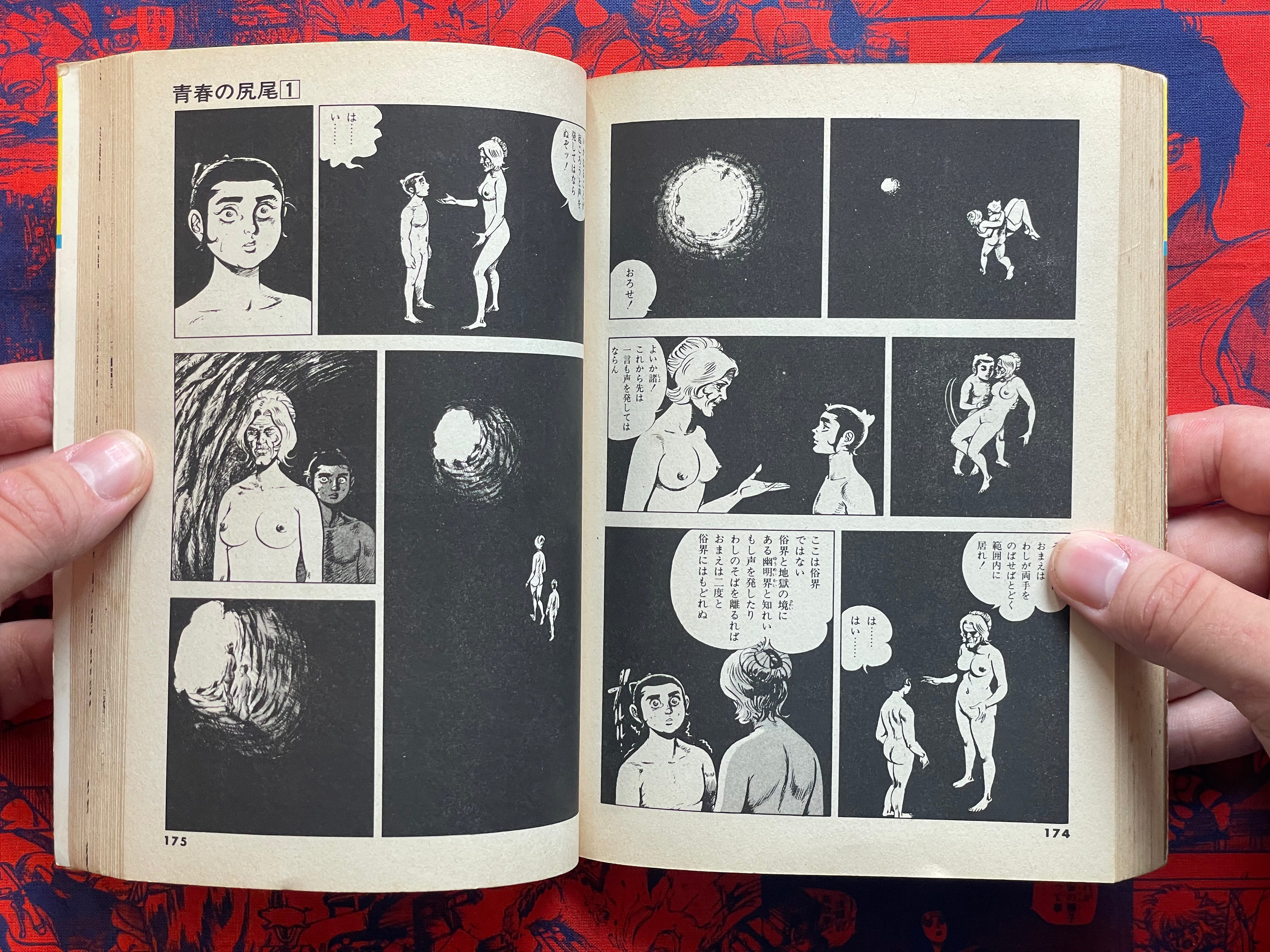Tail of Youth 1-6 Full Set by Kazuo Koike (1978)-thumbmail-19