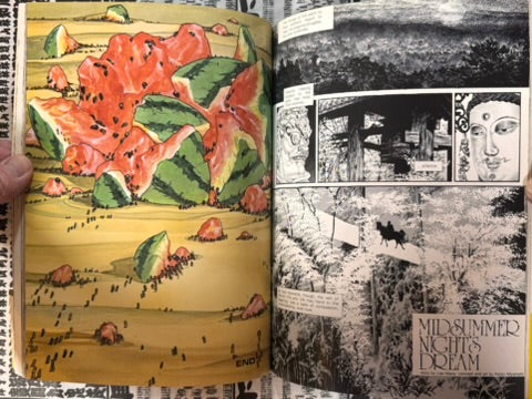 Manga - English Edition (1980s?)-thumbmail-14