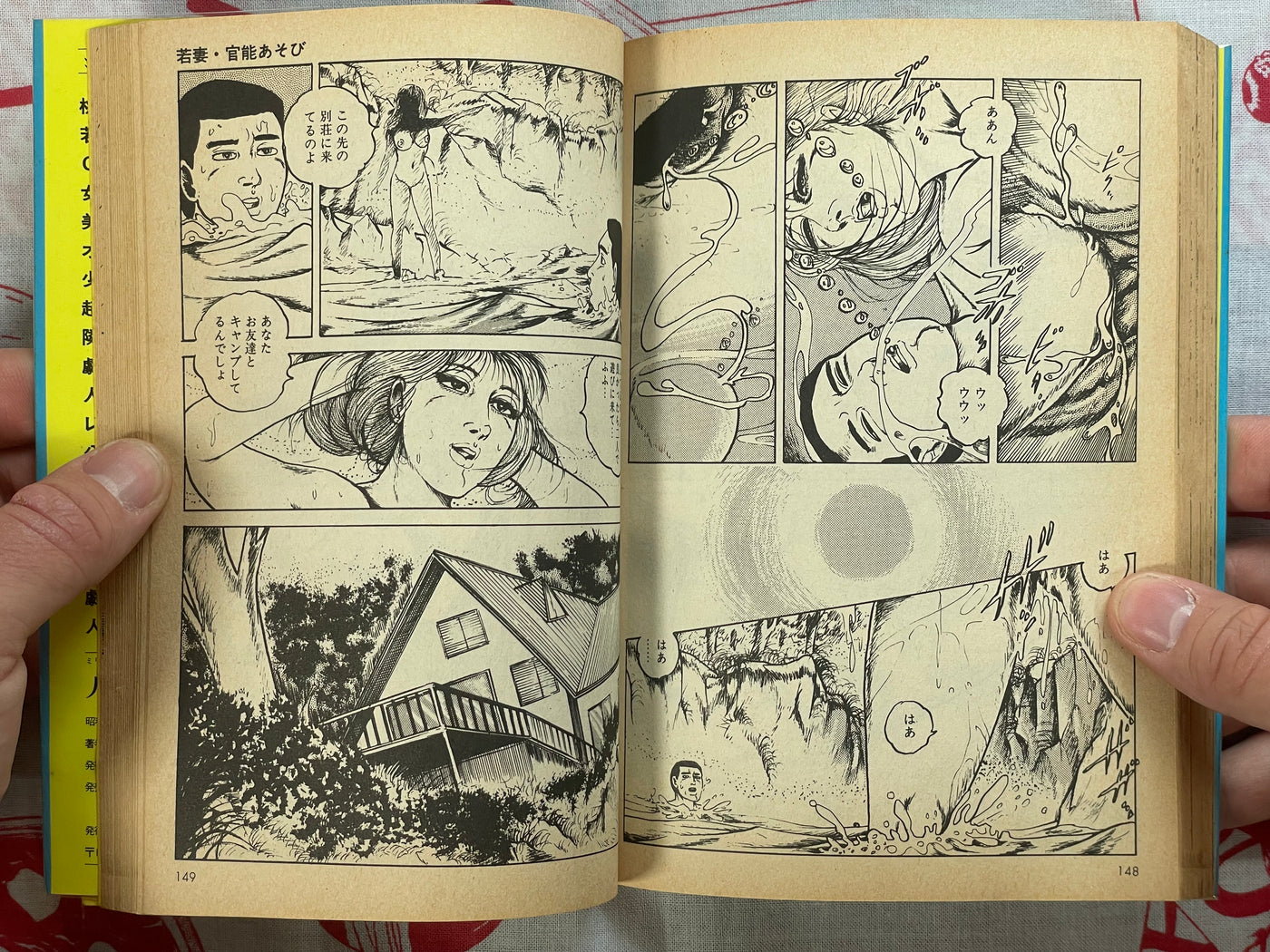 Wife's Secret by Tsutomi Sugiura (1988)