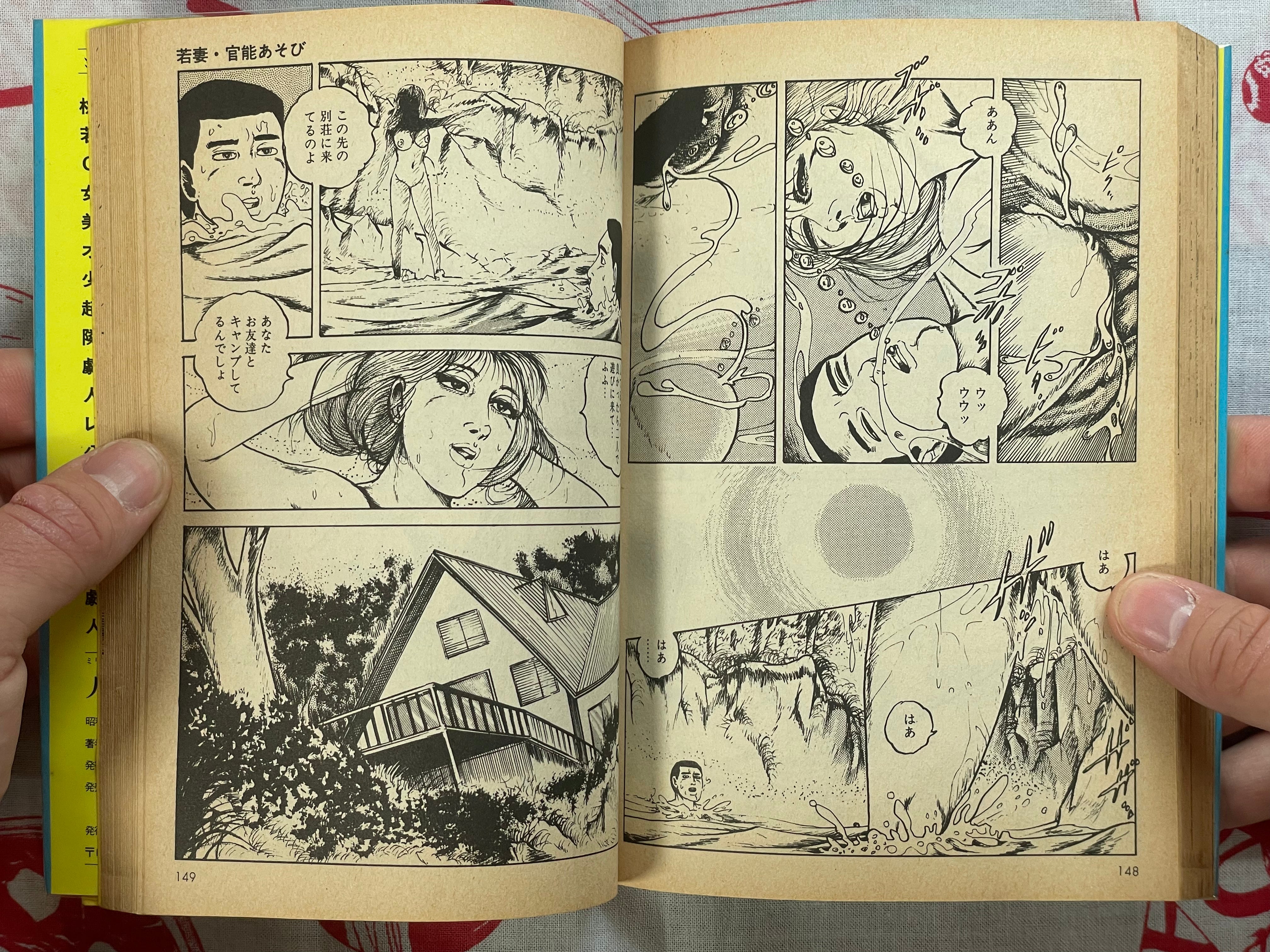 Wife's Secret by Tsutomi Sugiura (1988)