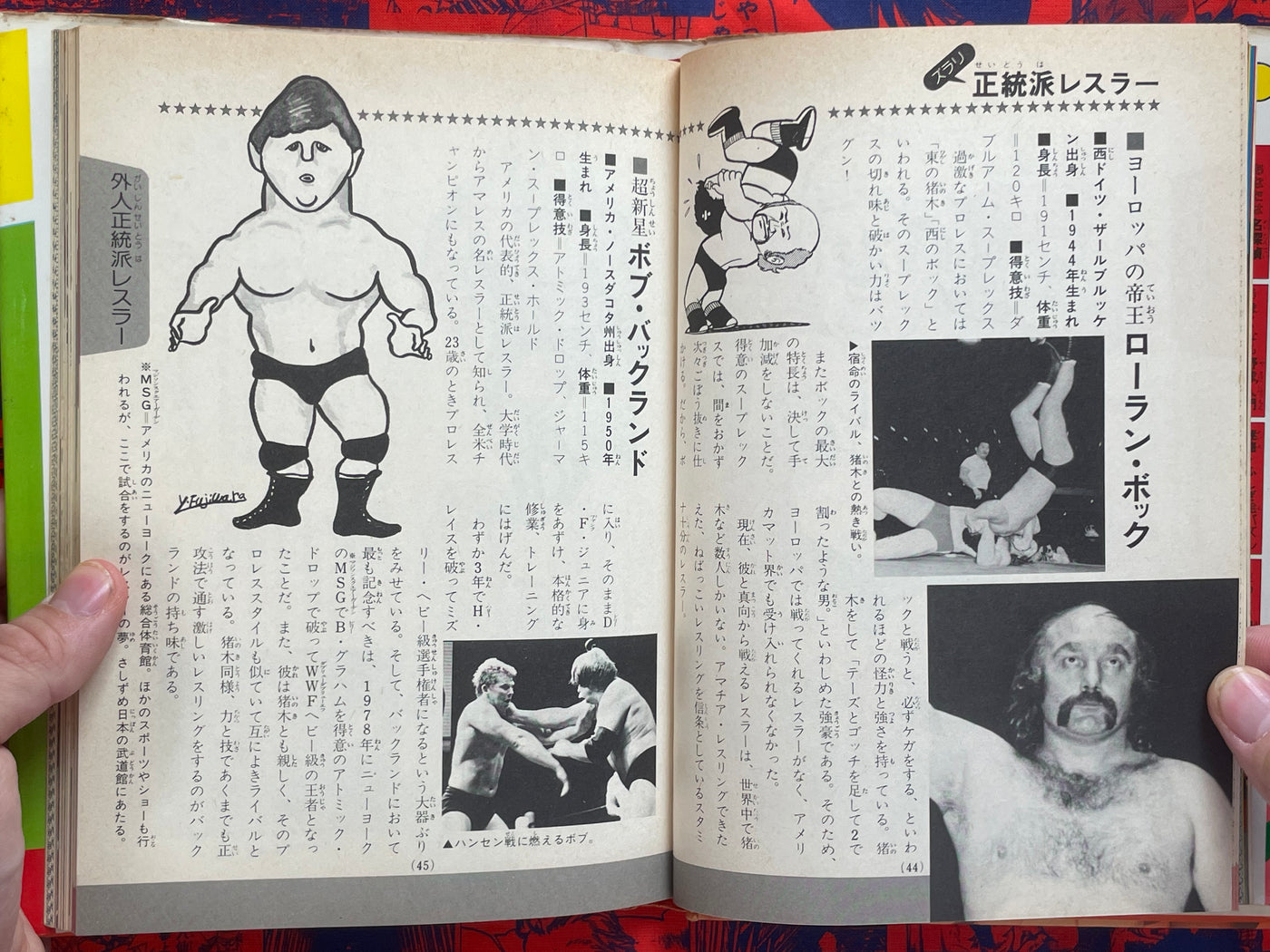 Pro Wrestling Surprise Encyclopedia - Hardcover by Big Wrestler (1982)