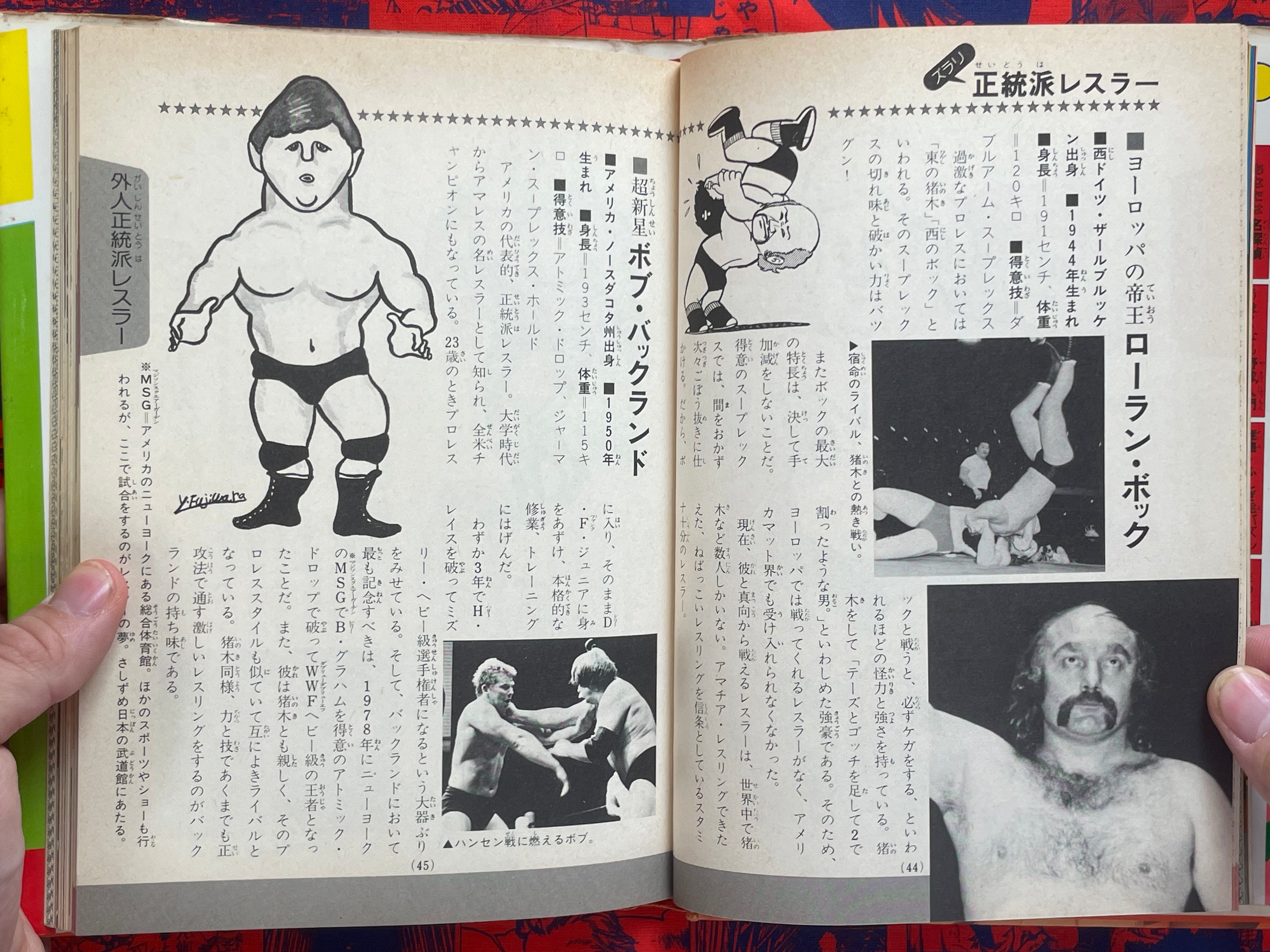 Pro Wrestling Surprise Encyclopedia - Hardcover by Big Wrestler (1982)