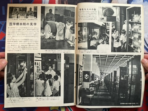 The Science Graph Vol. 7: Human Body Edition (1962)