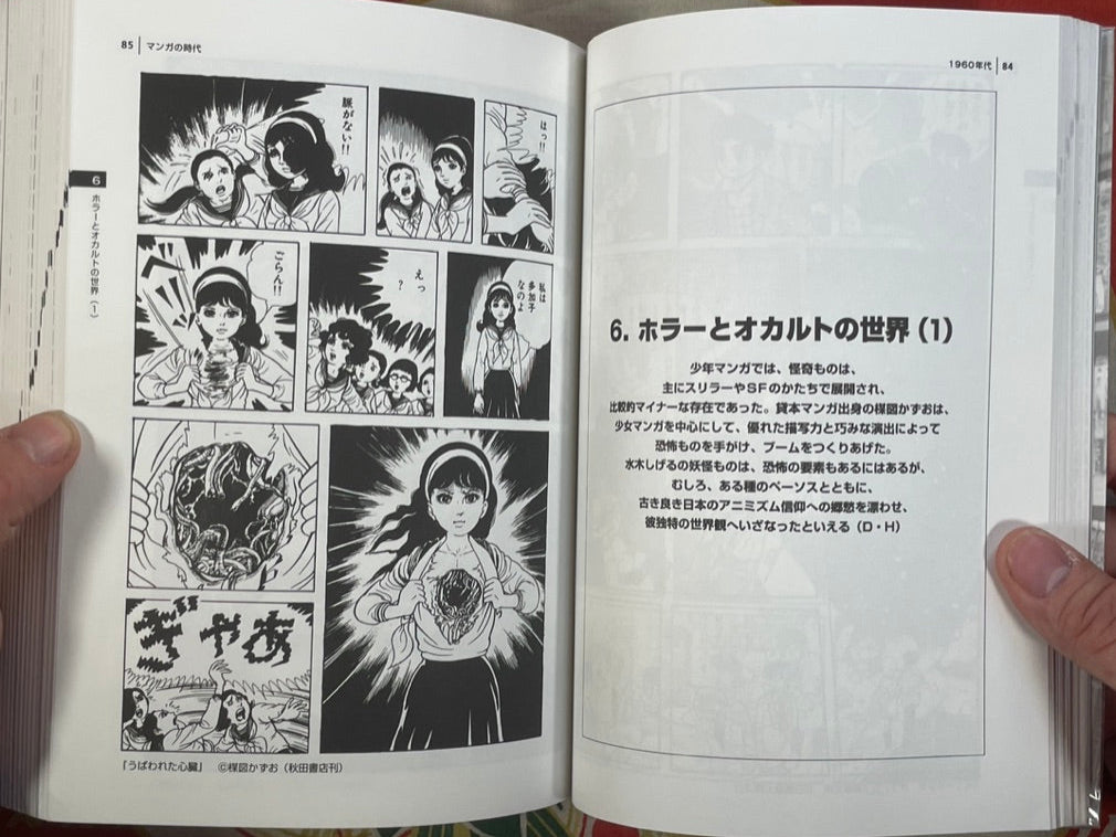 The Manga Age: Everything from Tezuka Osamu to Evangelion (1998)