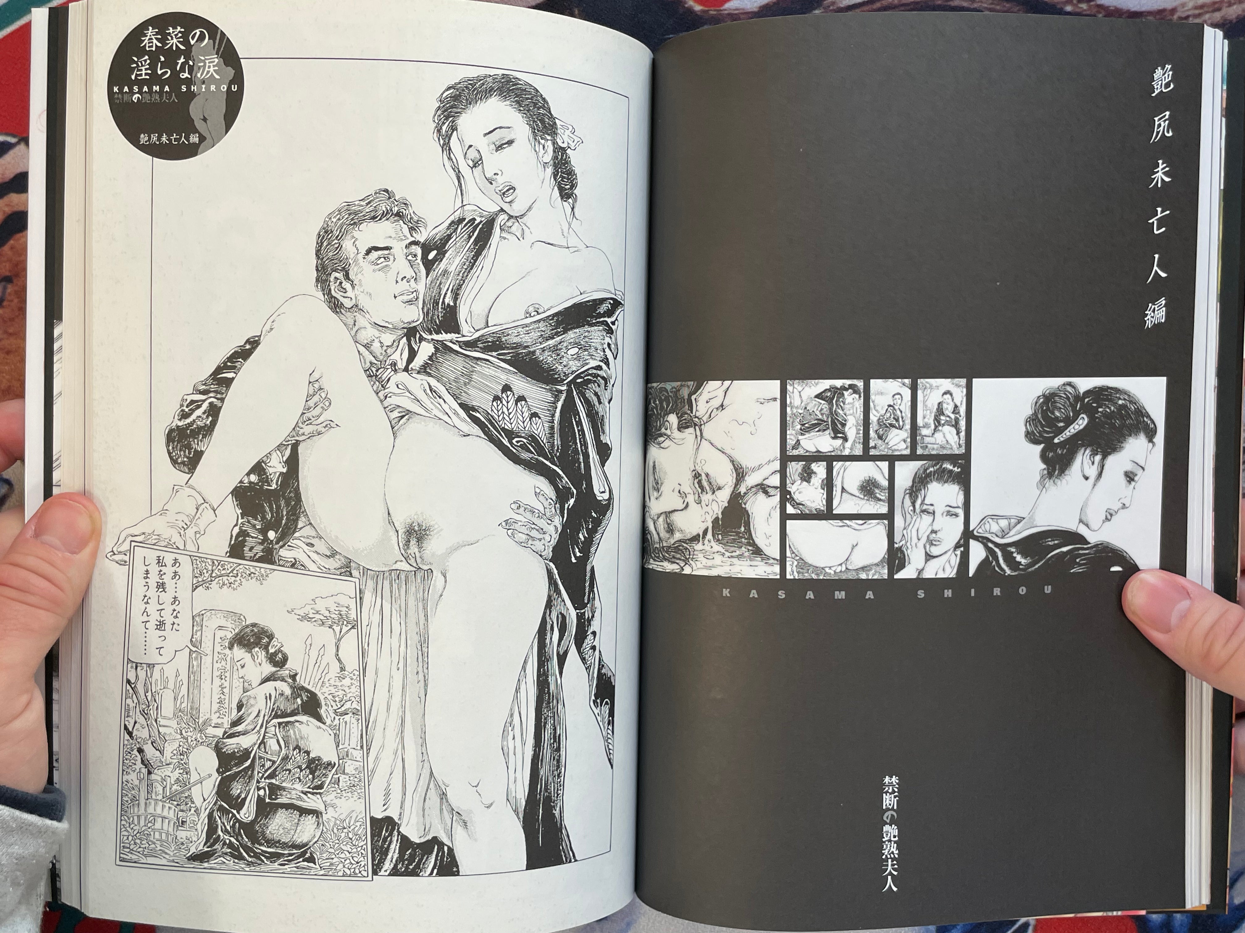 Kindan no Enjukufujin by Kasama Shirou (2006)