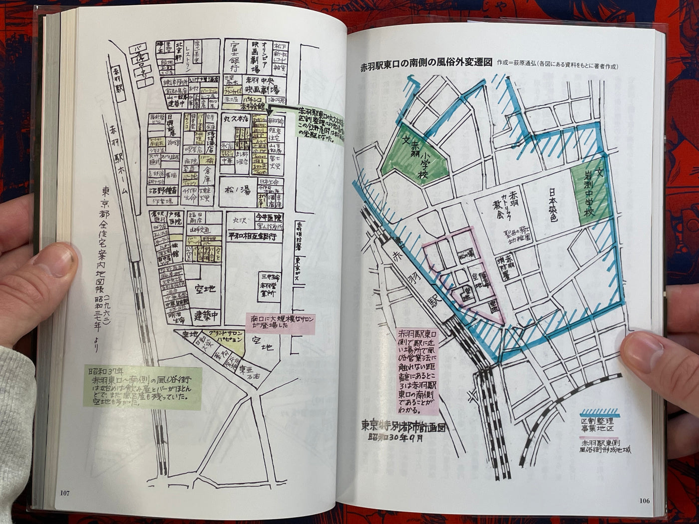 Akabane Station Front Pink Flyers: Sex Industry Region History (2018)