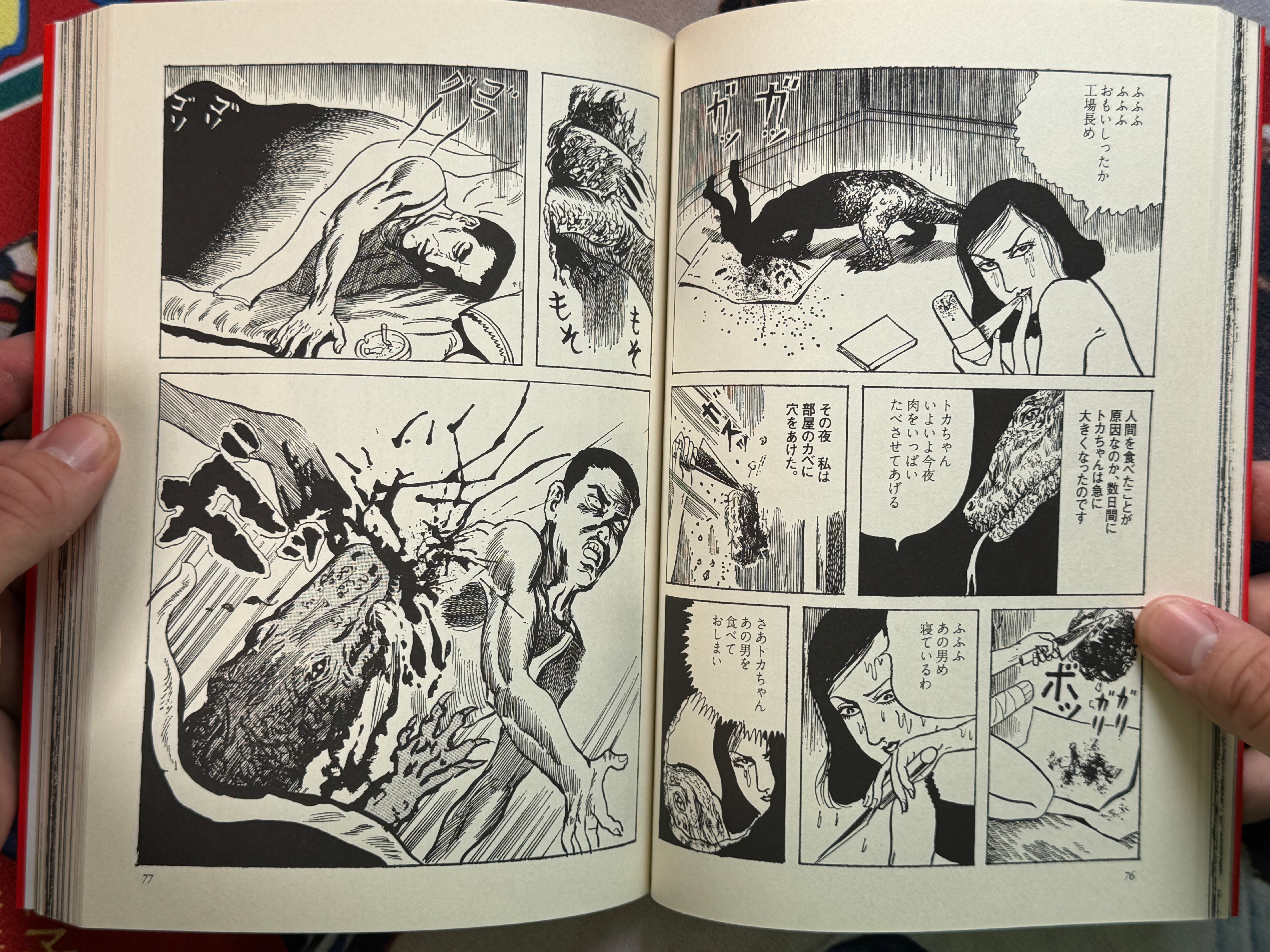 Hanawa Kazuichi Early Selected Works (2007)