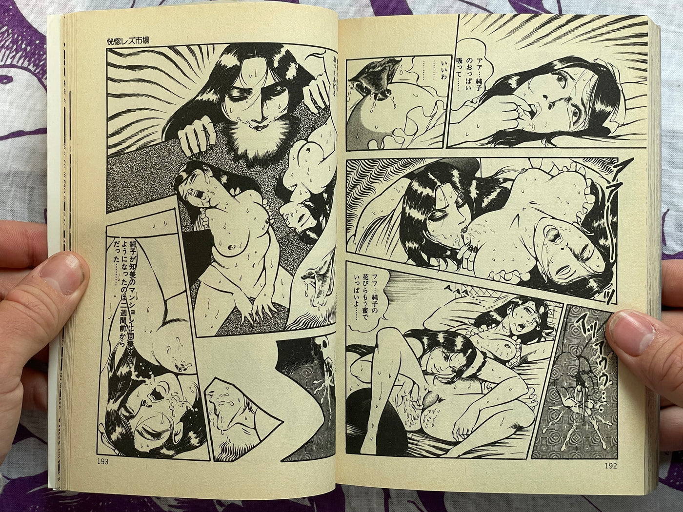 Red Fallen Angel by Dirty Matsumoto (1983) (1986 edition)