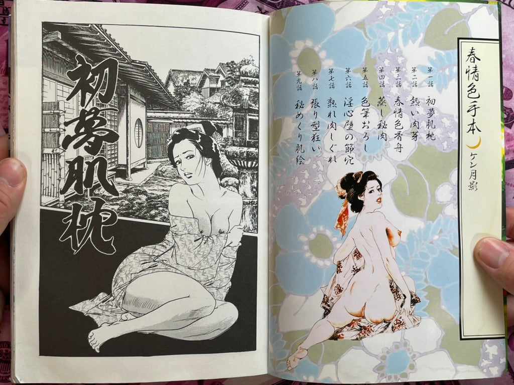 Passionate Sexy Example by Ken Tsukikage (1999)