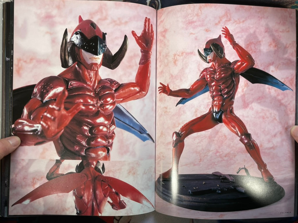 Nira Works by Yasushi Nirasawa (1998 First Edition)-thumbmail-11