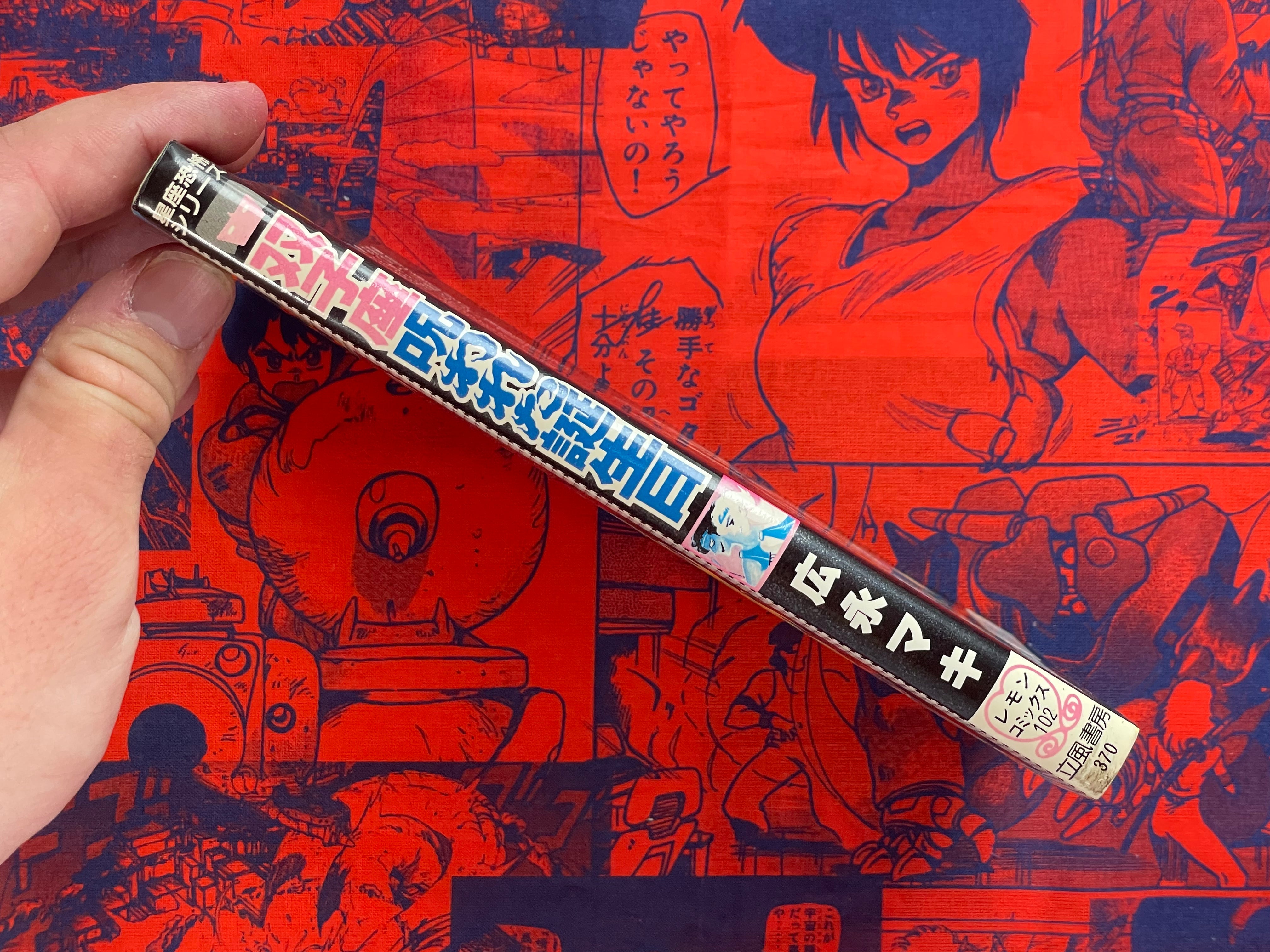 Gemini Cursed Birthday by Hironaga Maki (1985)