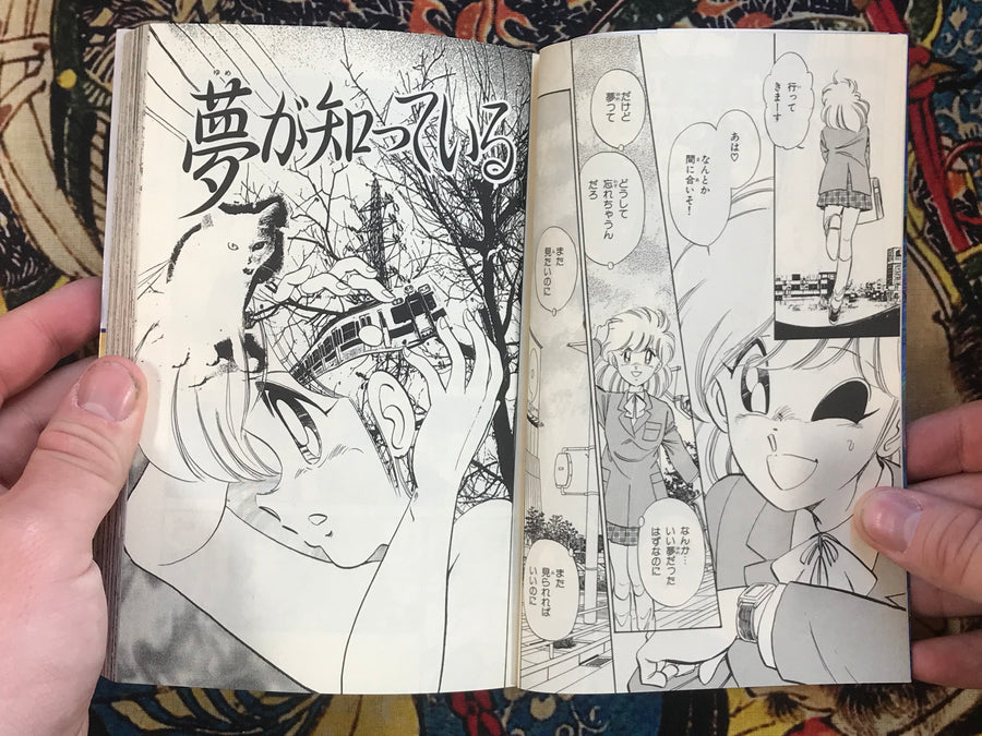 Red Crossroad by Iku Oyamada (1997)