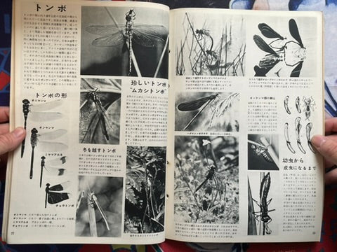 The Science Graph Vol. 6: Insect Special Edition (1962)