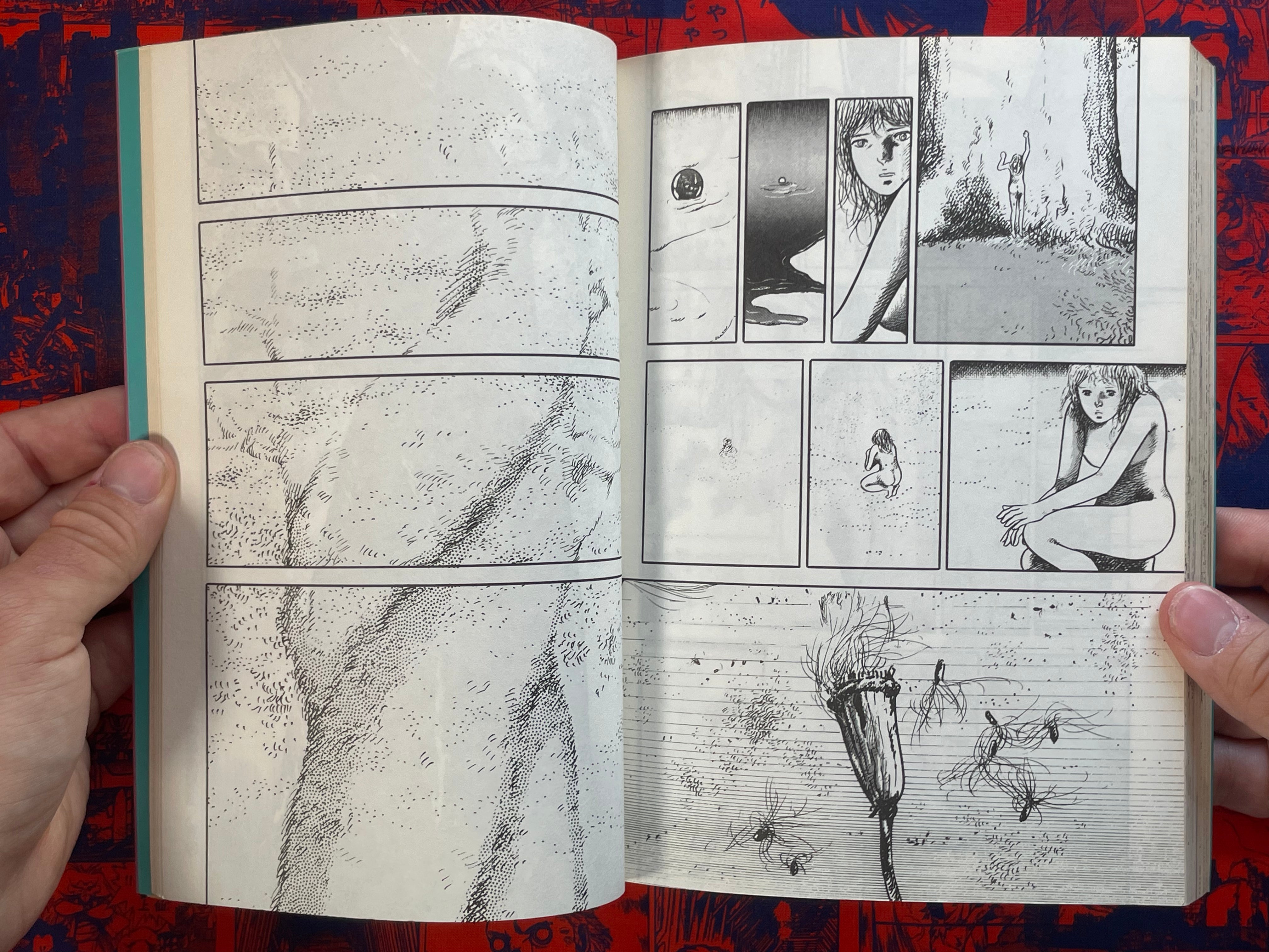 Metamorphosis BY Kosuzu Hiromi (1983)