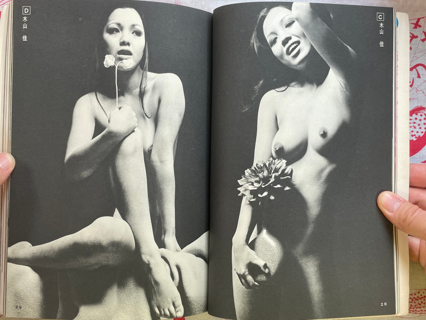 Nippon Camera Beautiful Nude (1972)