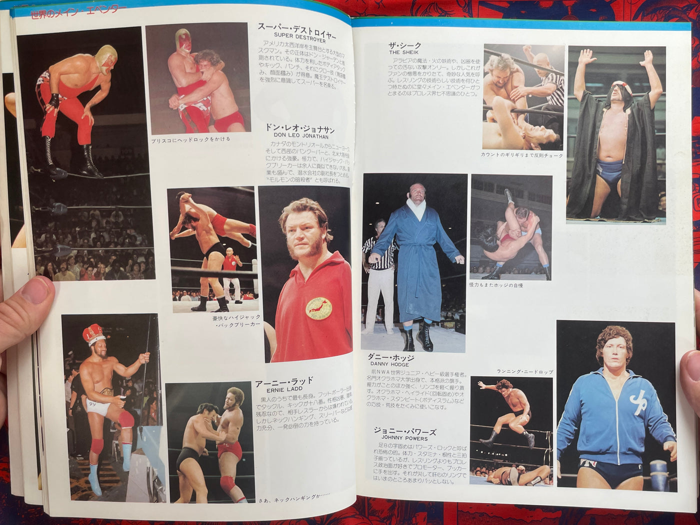 Pictorial History of Pro-Wrestling in Japan (1975)