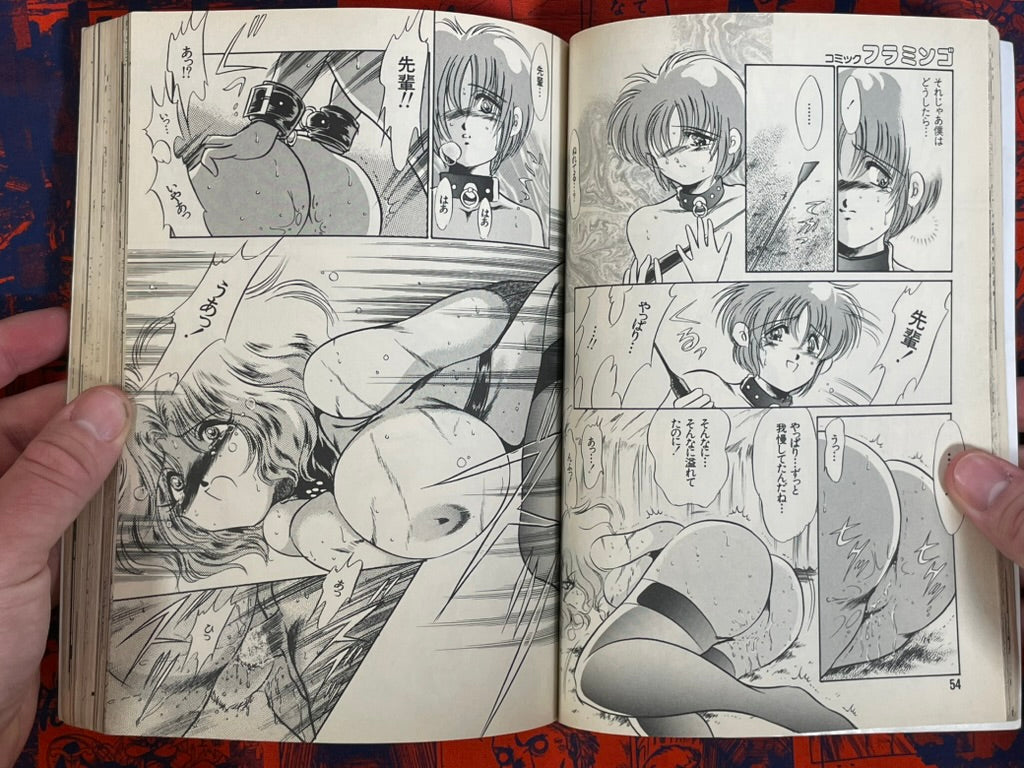 Flamingo Magazine (6/1995)