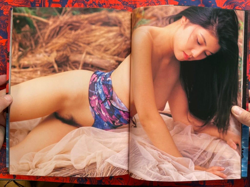 The Diary of the Southern Cross by Araki Shumei (1994)