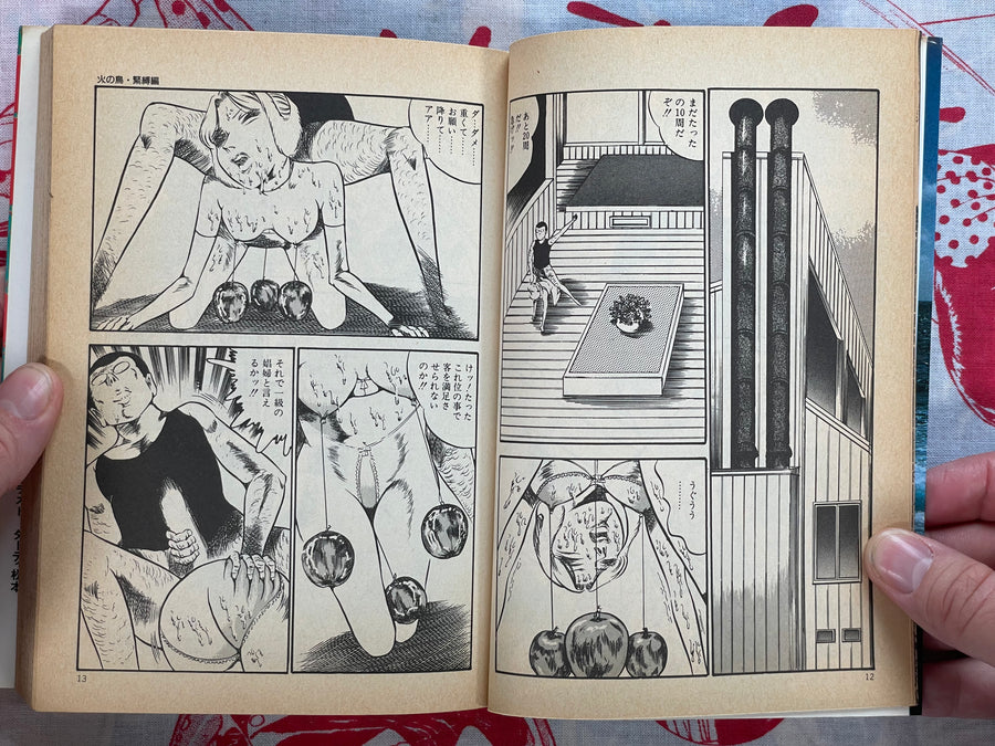 Sea Goddess by Dirty Matsumoto (1989)