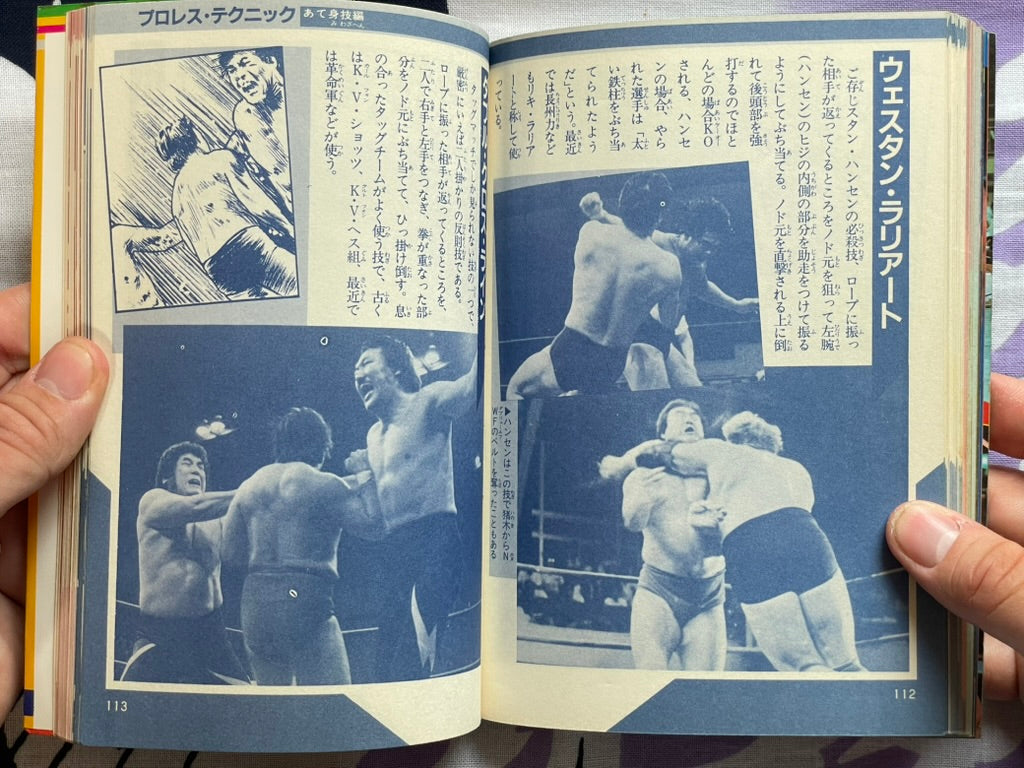 Pro Wrestling Finishing Move Technique by Big Wrestler (1984)