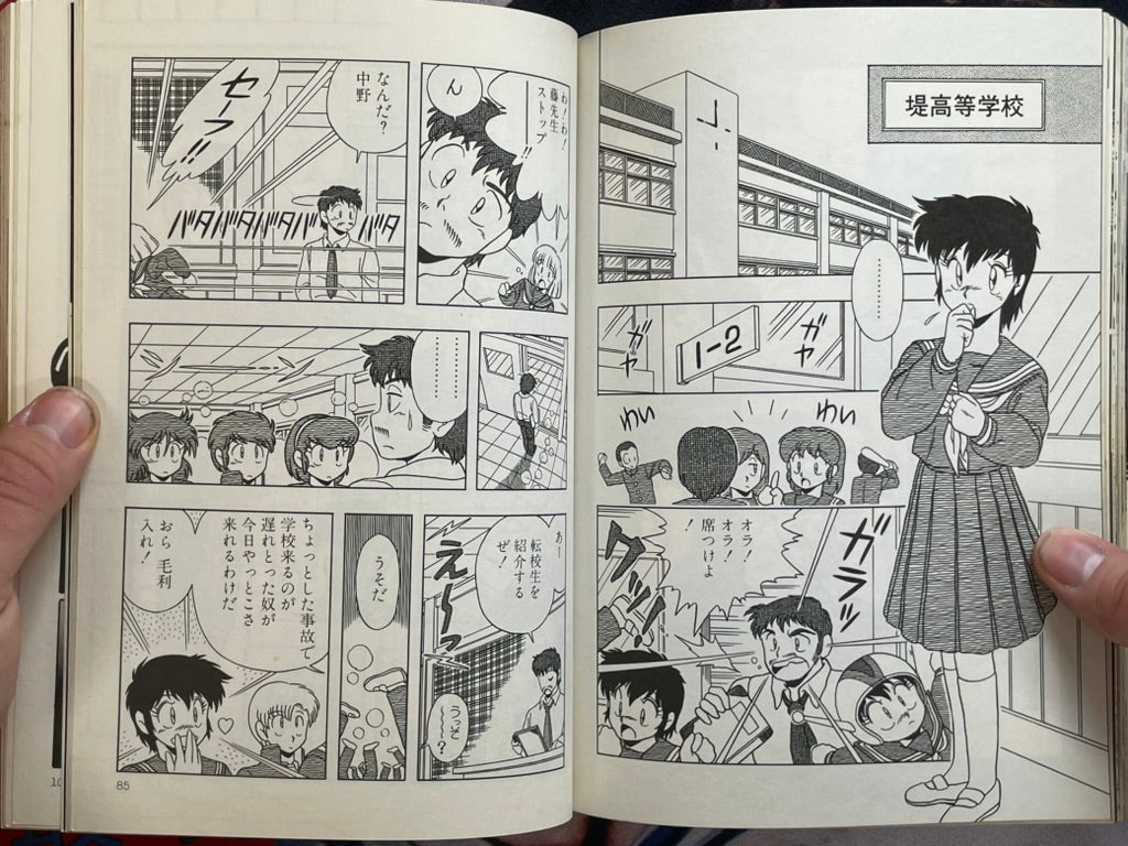 Pumpkin No. 4 (1986)