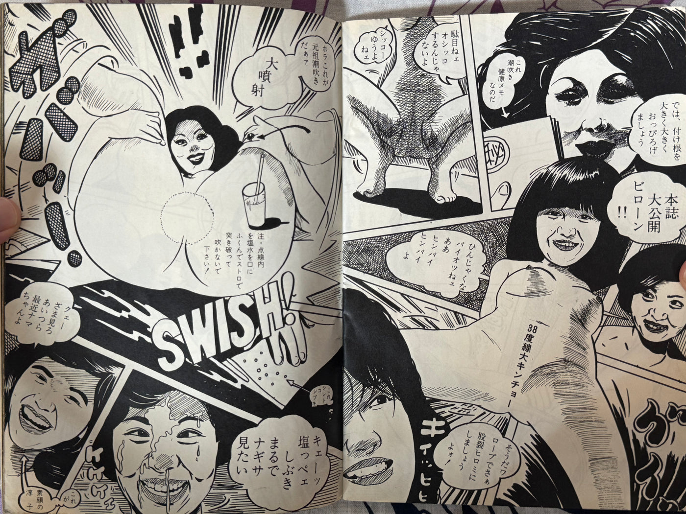 Pink Plaza Magazine (4/1976)