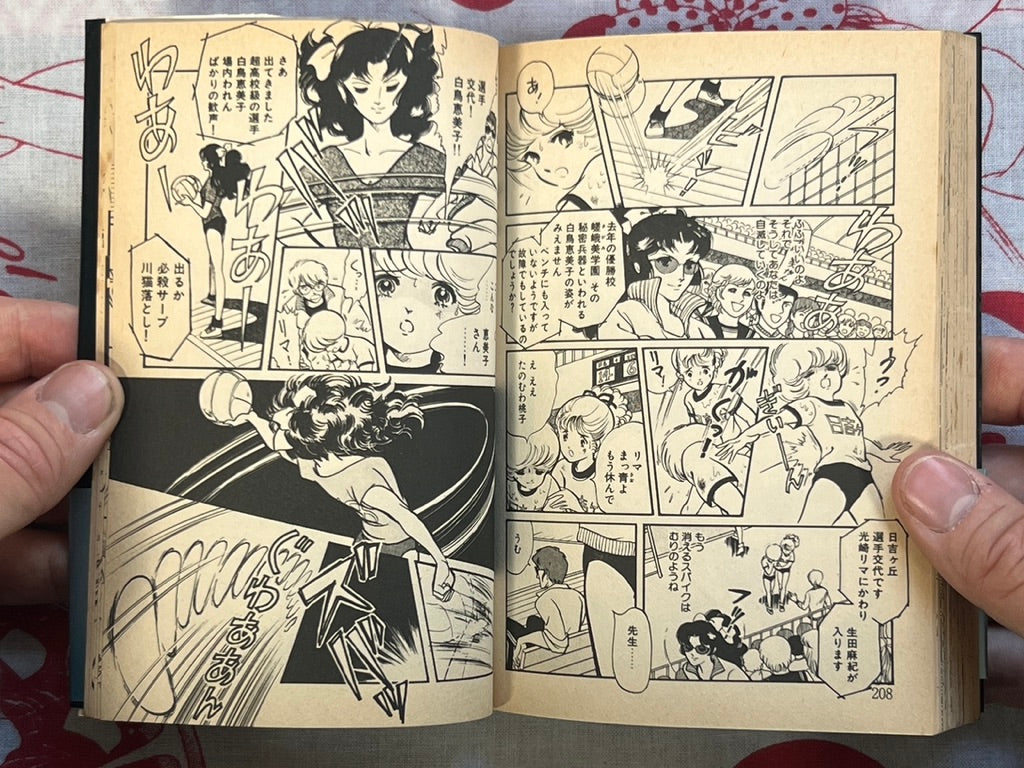 Not There Yet! - bunko size by Nakata Aki (1988)