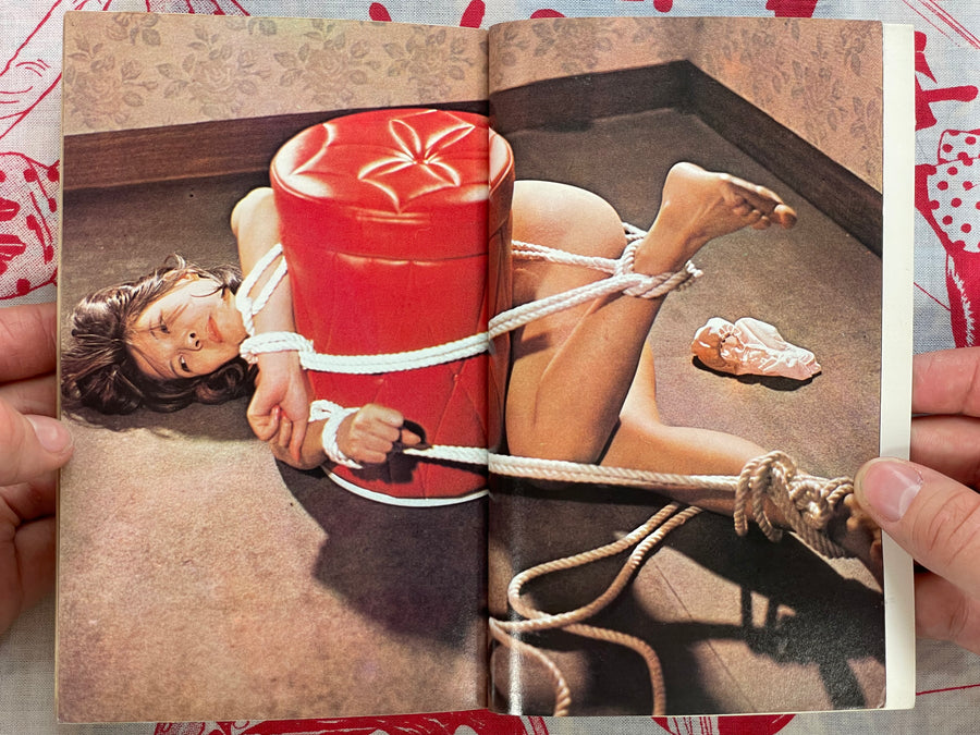SM Fan Magazine Extra Issue (2/1973)